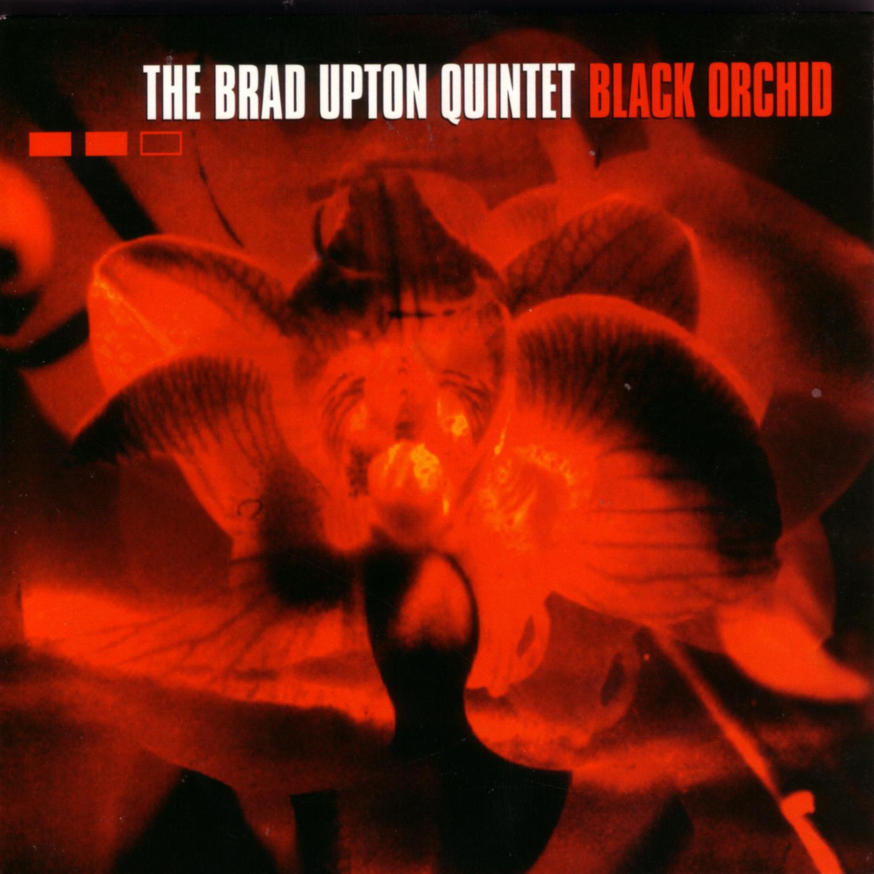 Постер альбома Black Orchid
