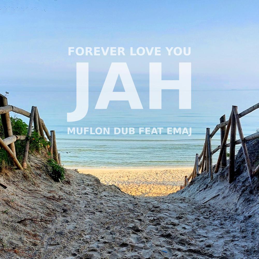 Постер альбома Forever Love You JAH