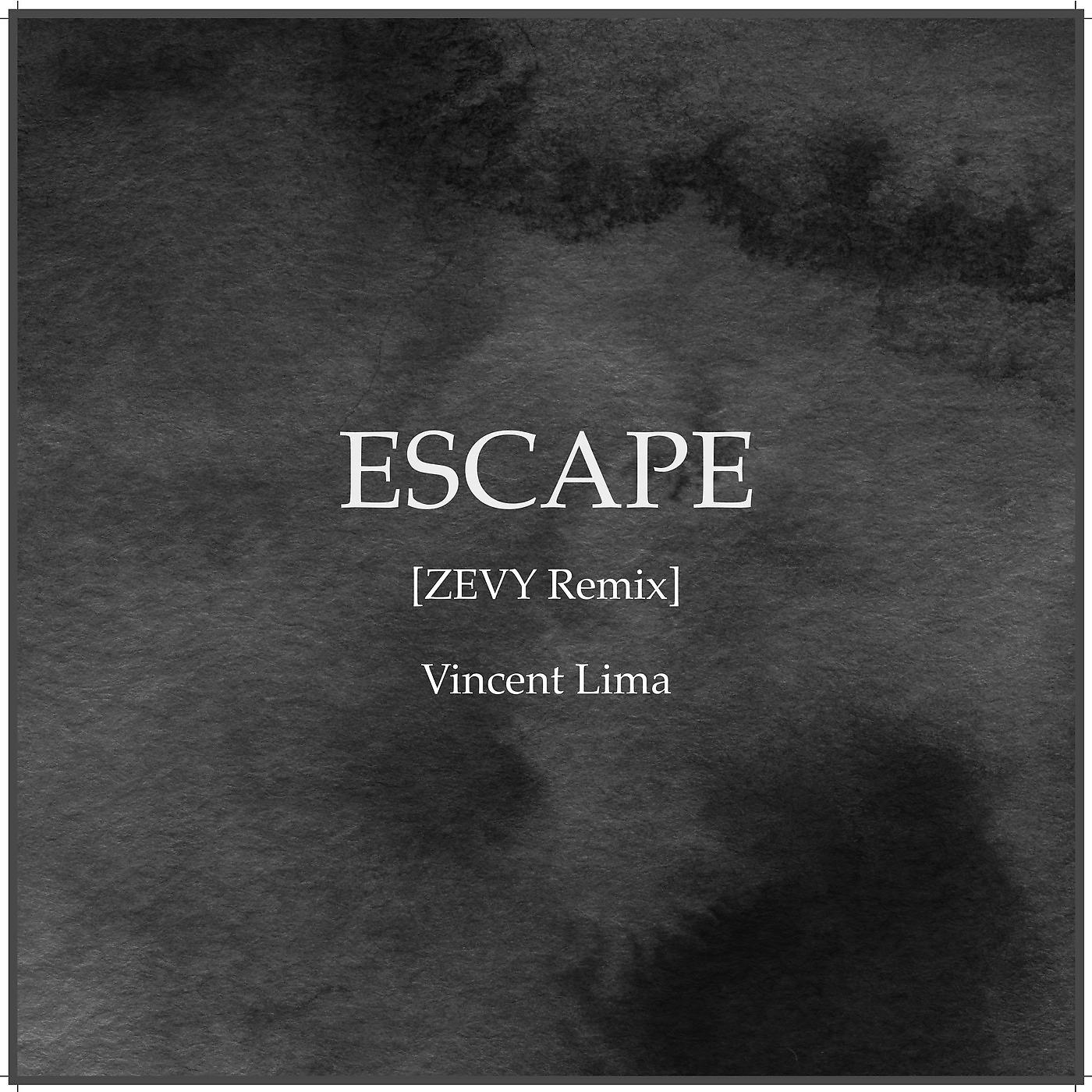 Постер альбома Escape (Remix)