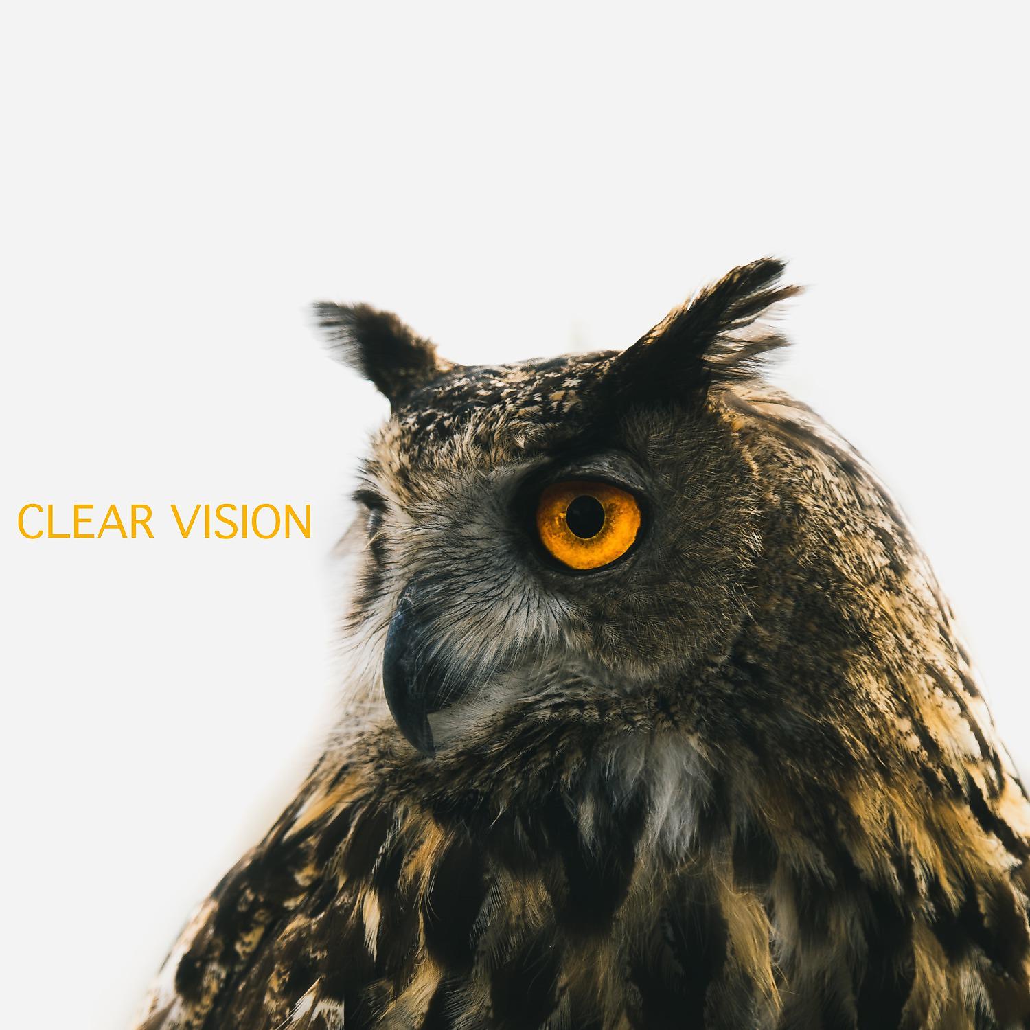 Постер альбома Clear Vision