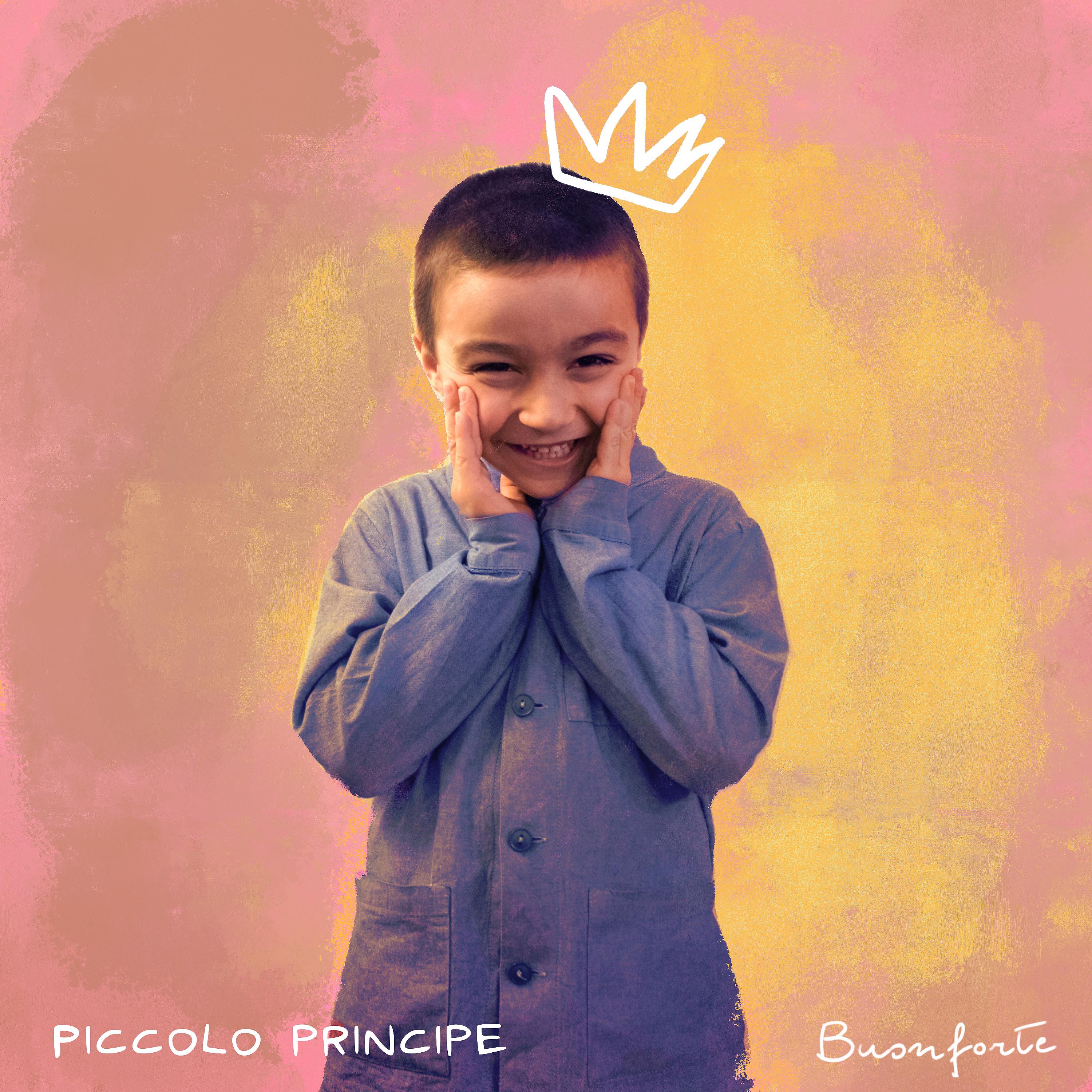 Постер альбома Piccolo Principe