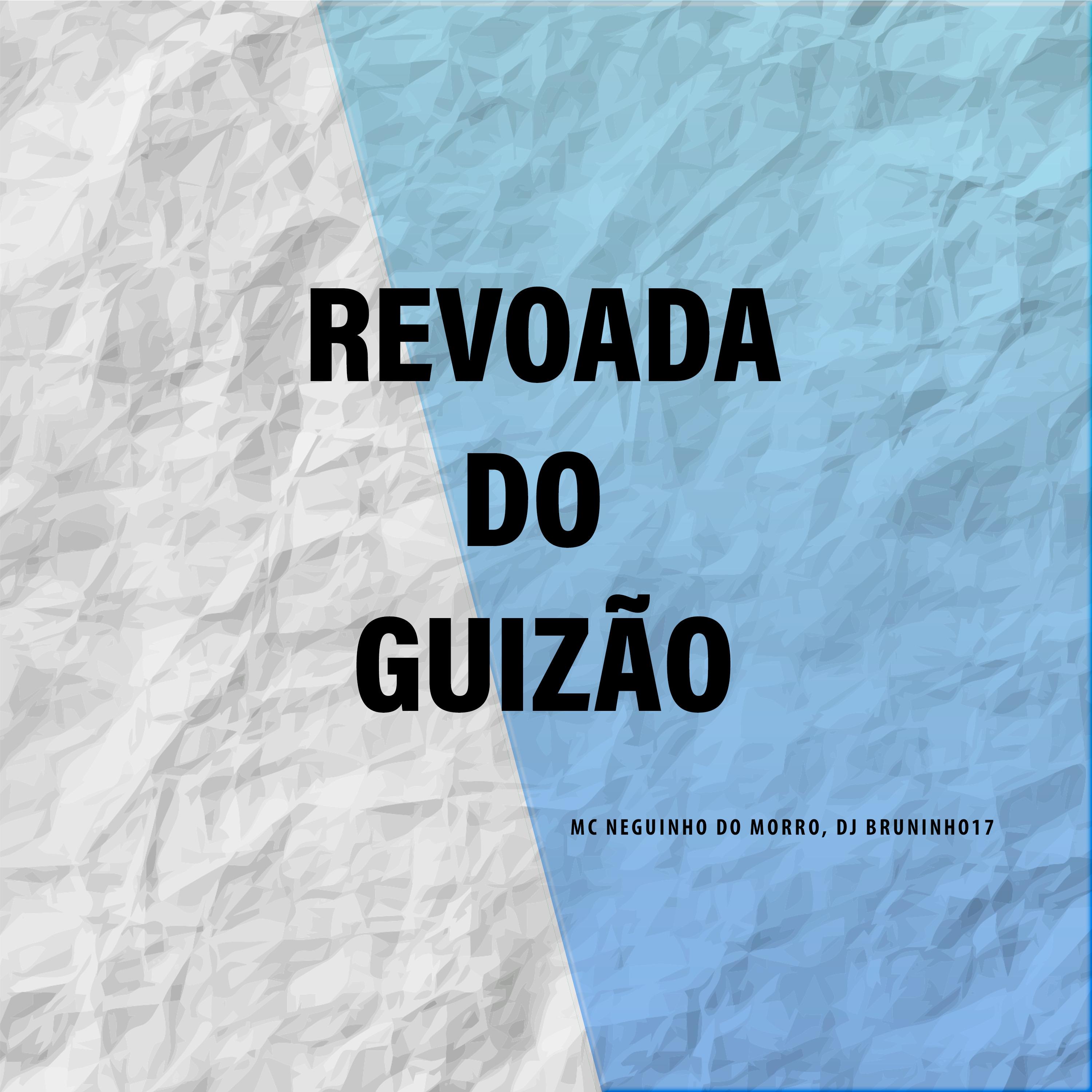 Постер альбома Revoada do Guizão