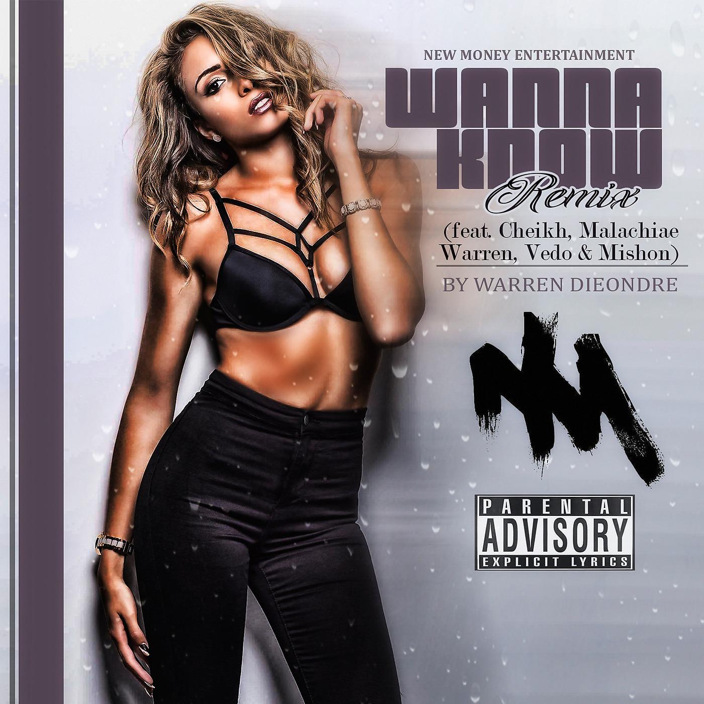 Постер альбома Wanna Know Remix (feat. Cheikh, Malachiae Warren, Vedo & Mishon)