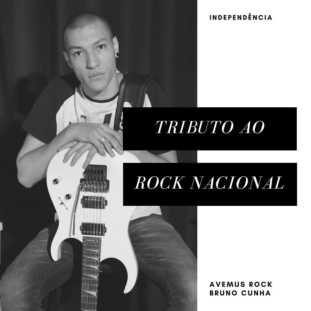 Постер альбома Tributo ao Rock Nacional