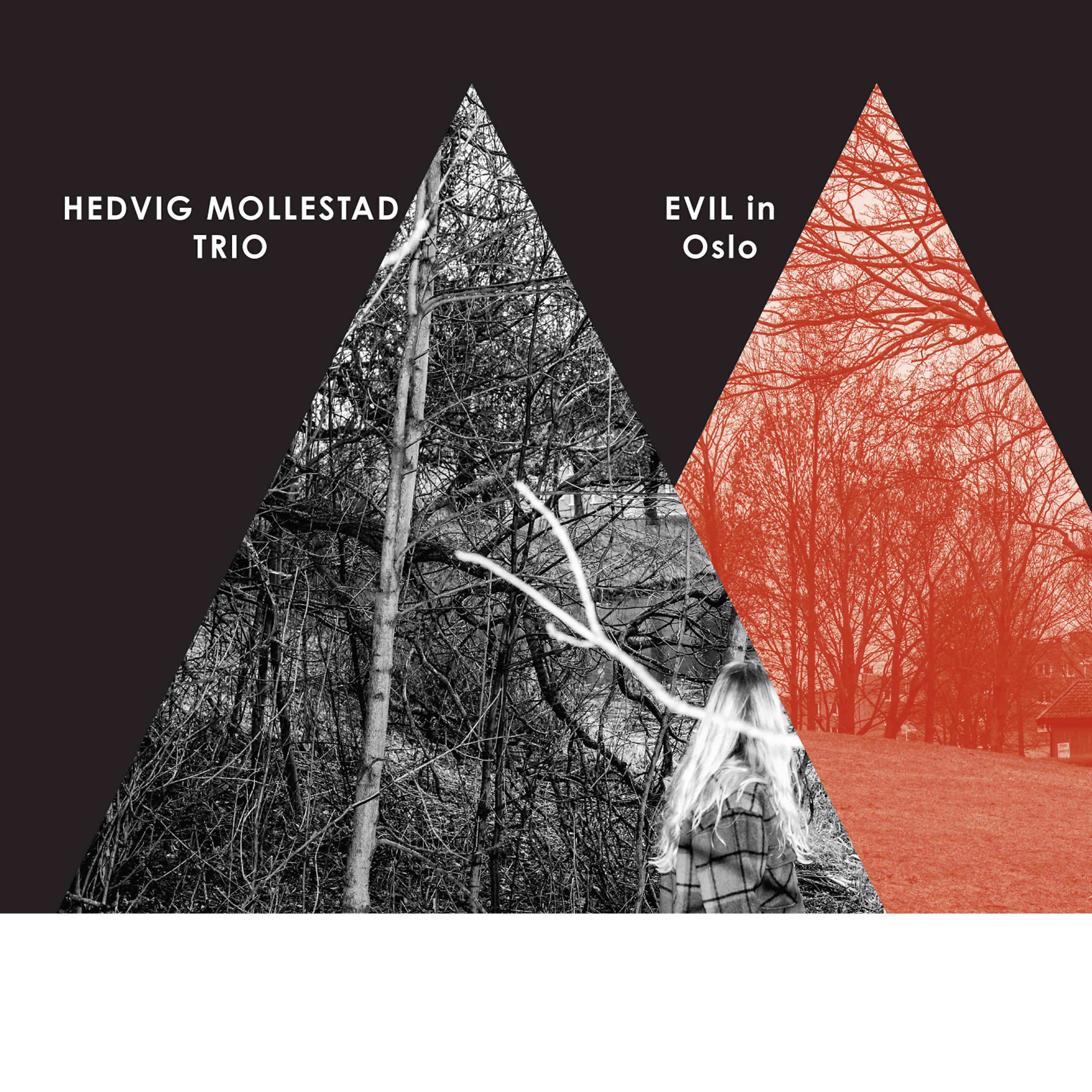 Постер альбома Evil in Oslo