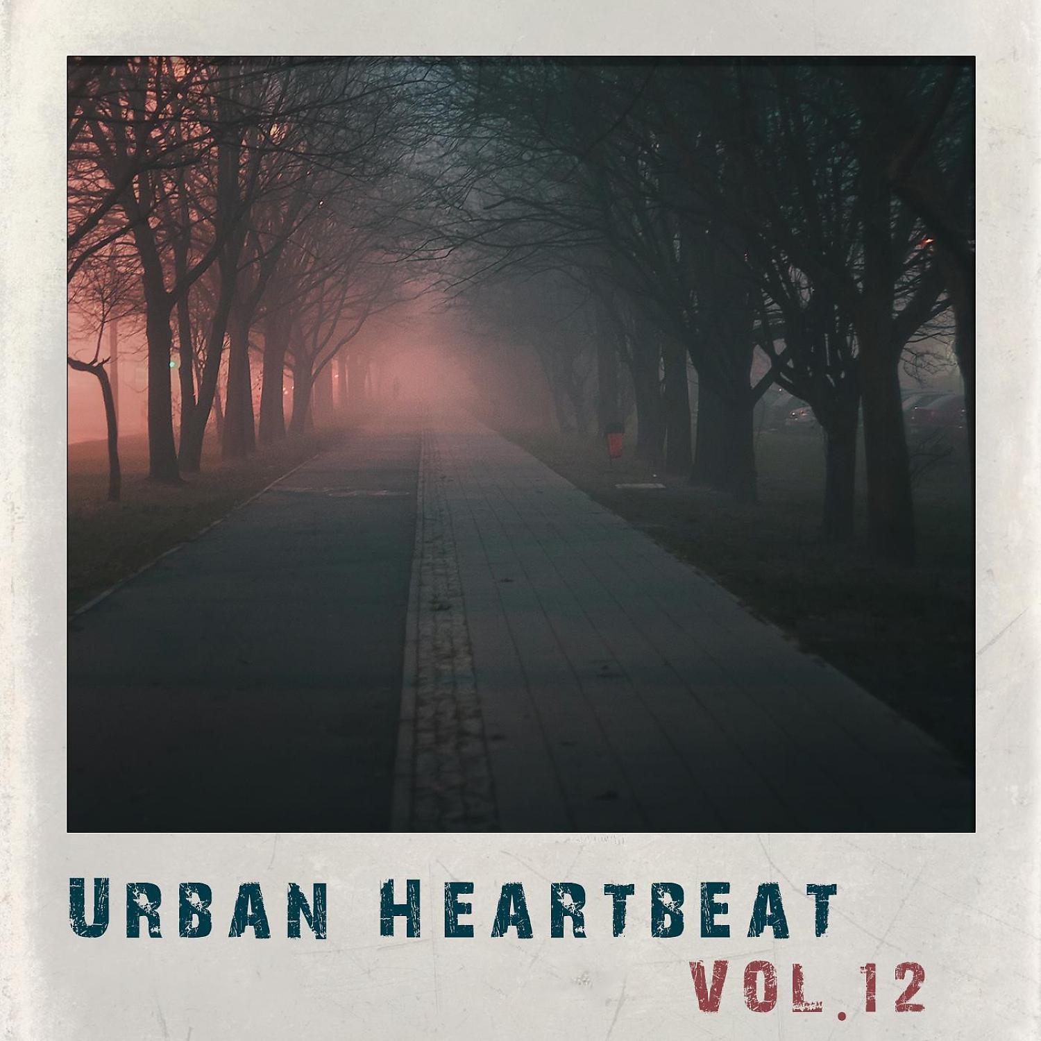 Постер альбома Urban Heartbeat, Vol. 12