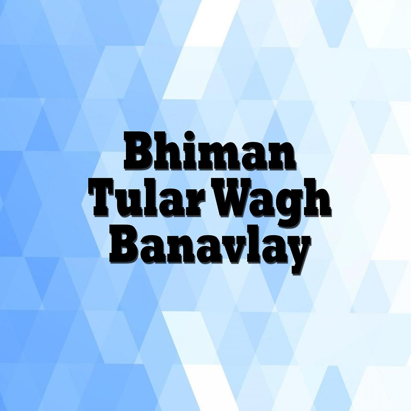 Постер альбома Bhiman Tular Wagh Banavlay