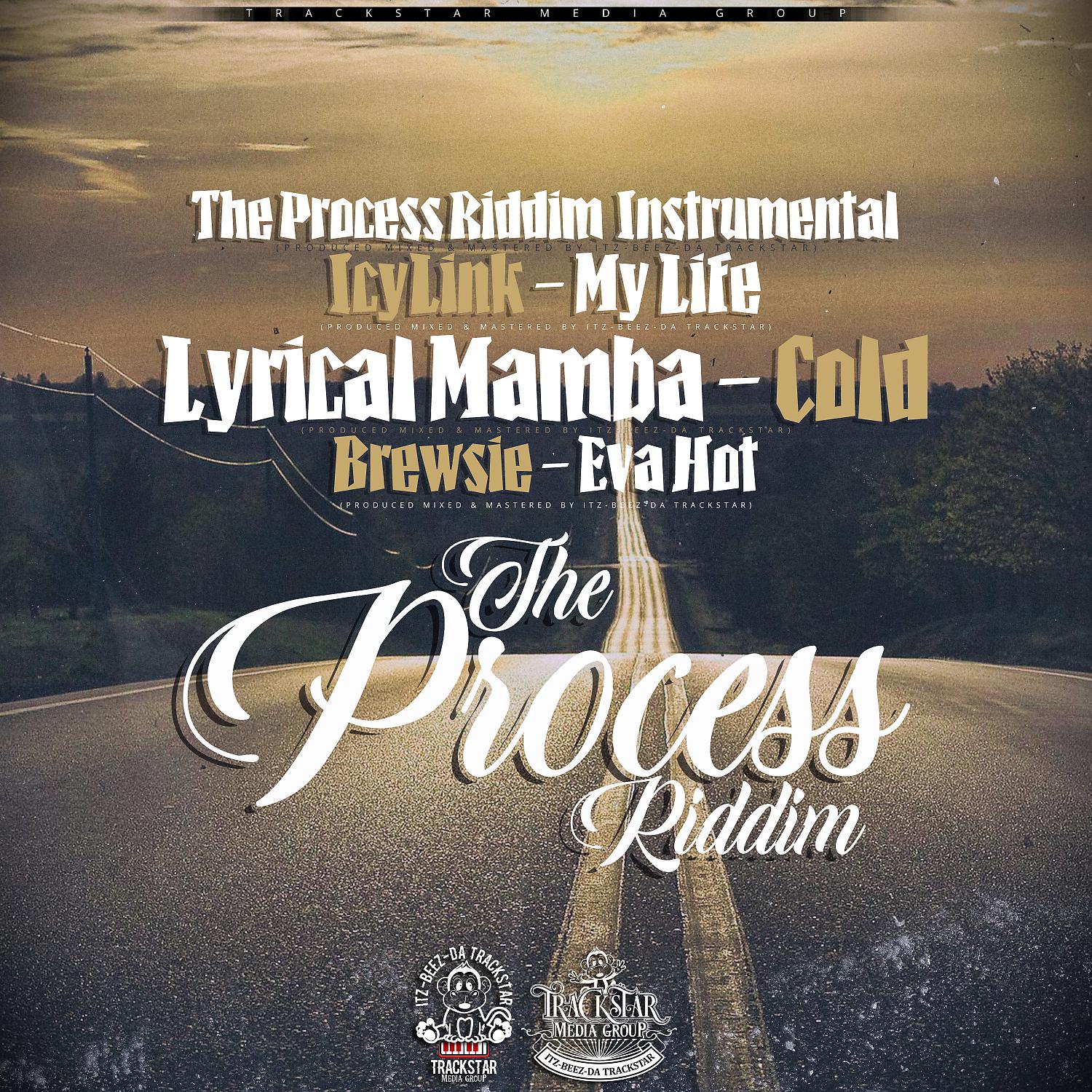 Постер альбома The Process Riddim
