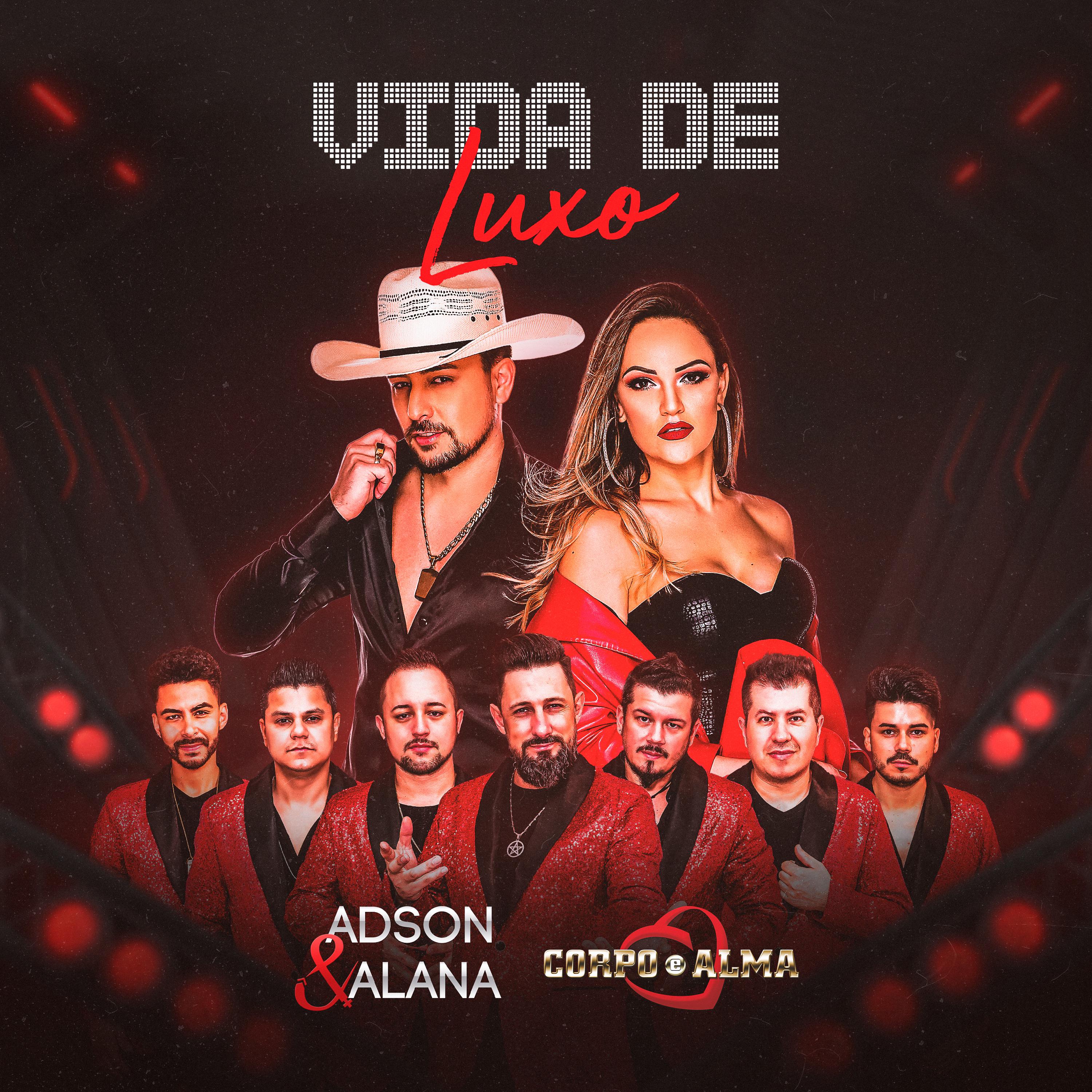 Постер альбома Vida de Luxo