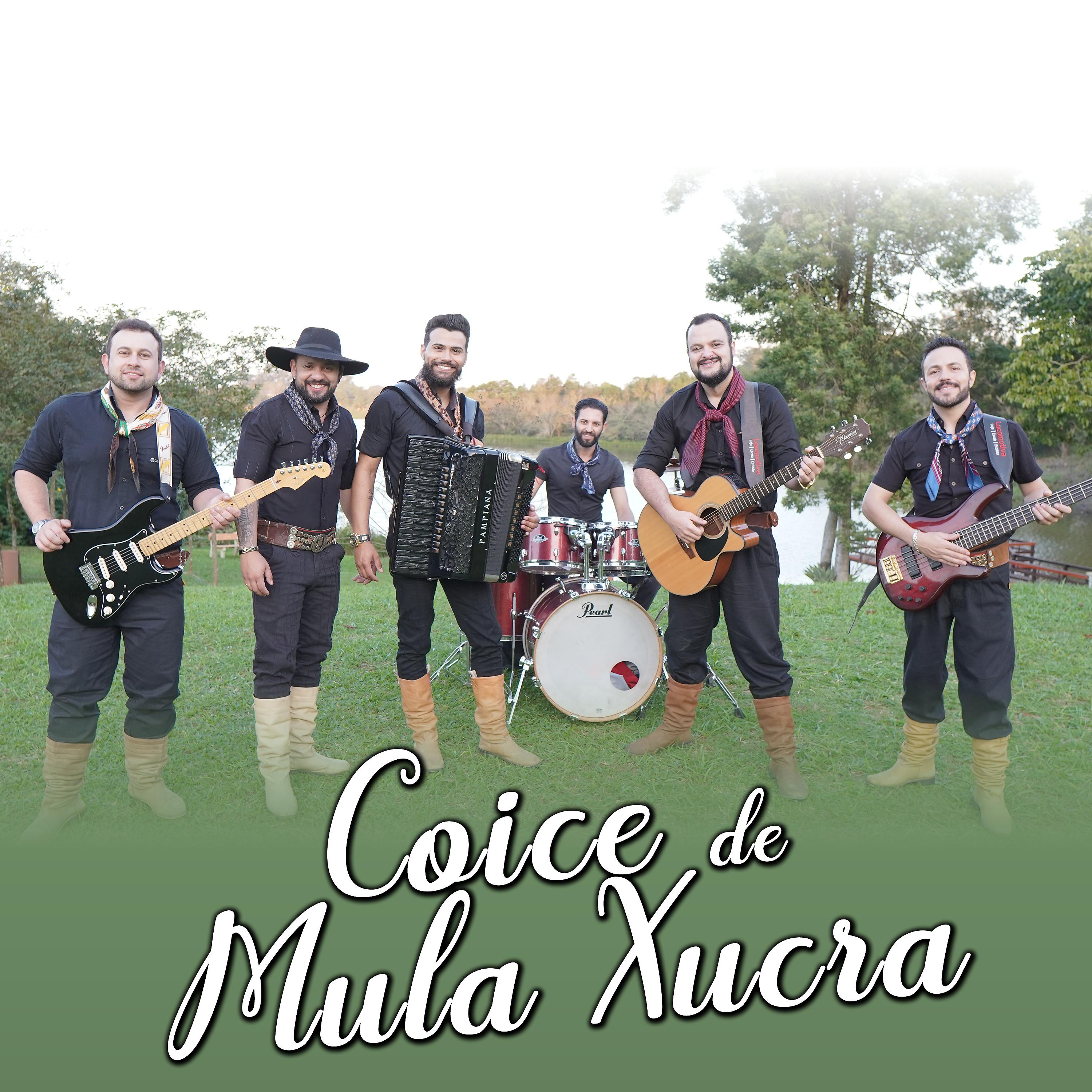 Постер альбома Coice de Mula Xucra