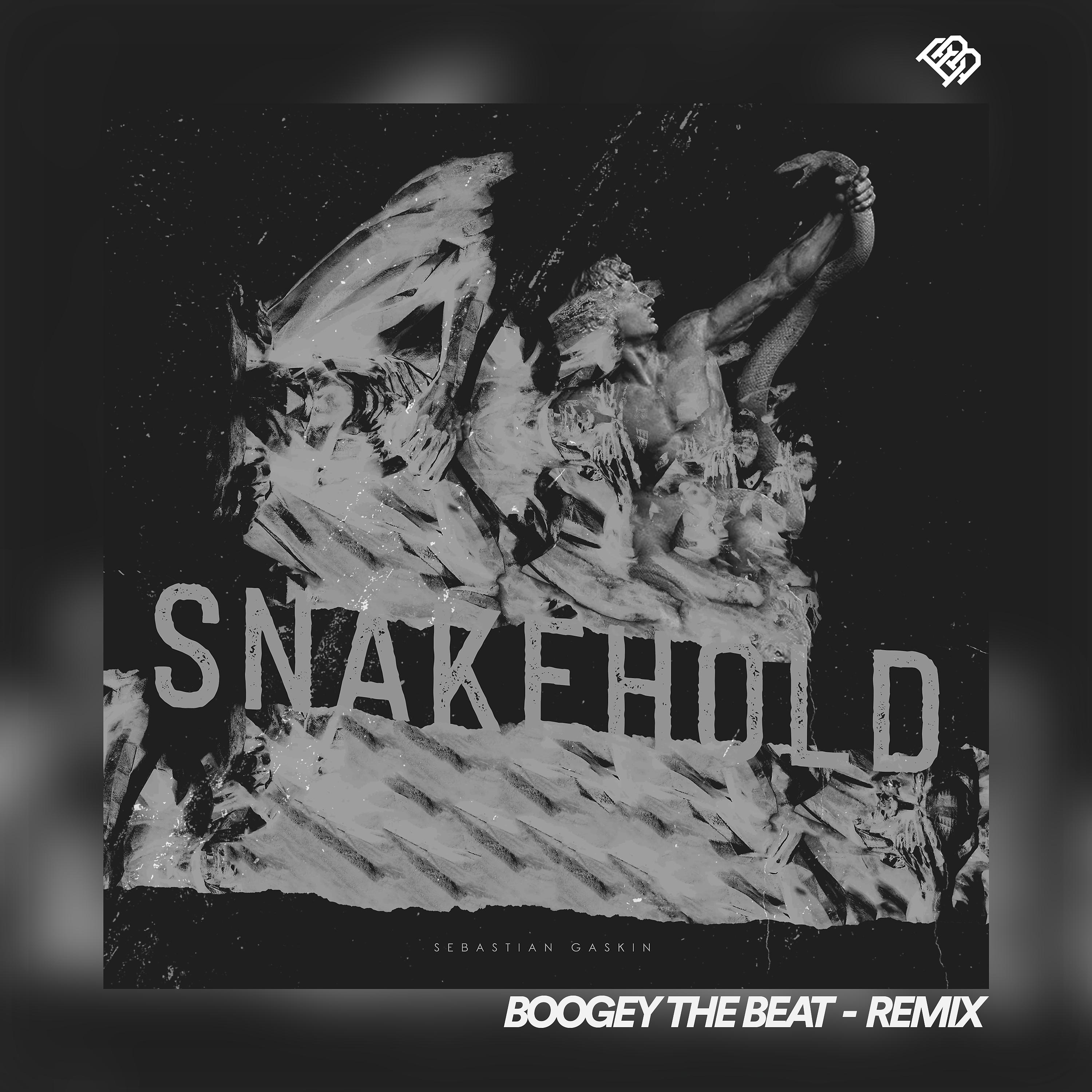 Постер альбома Snakehold (Boogey the Beat Remix)