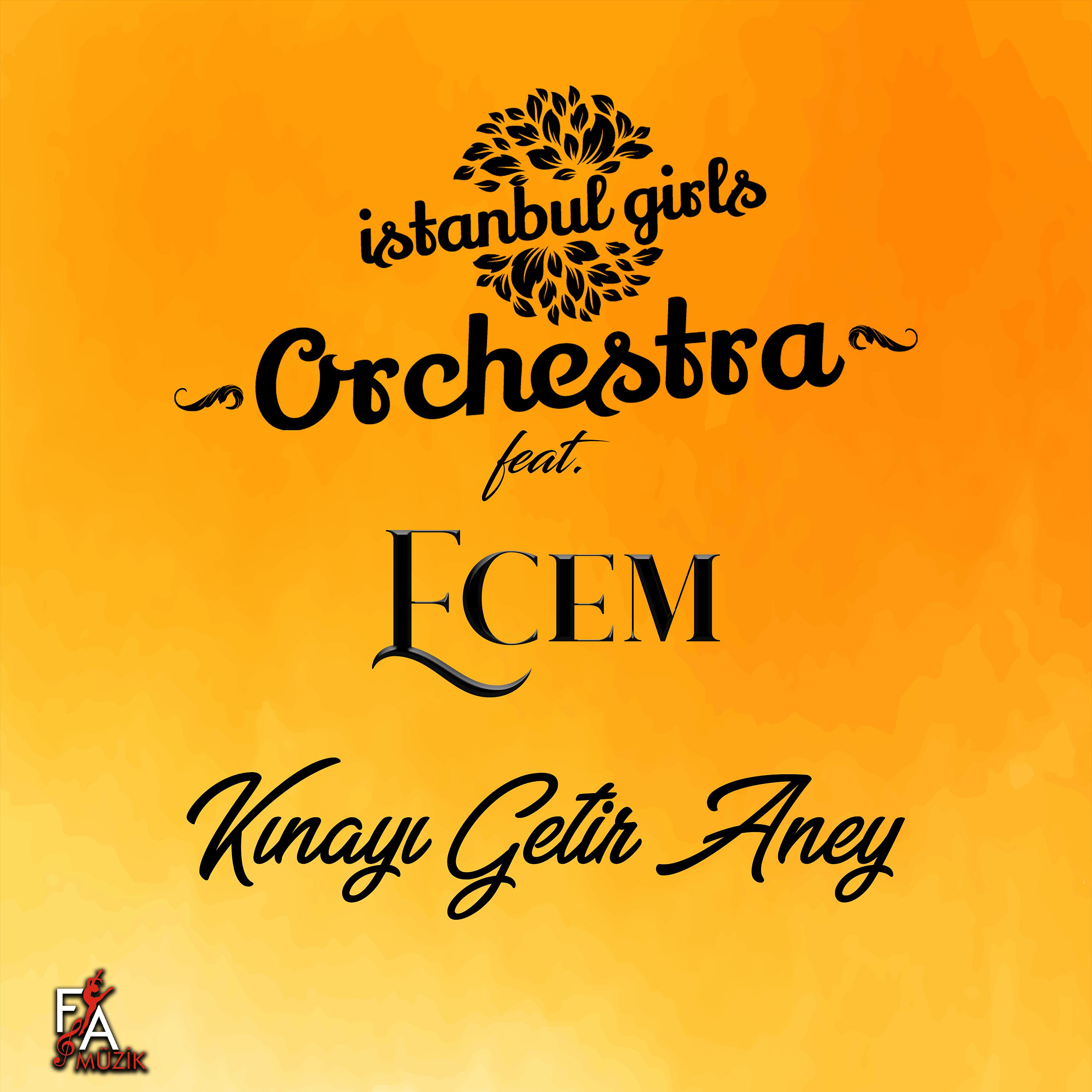 Постер альбома Kınayı Getir Aney