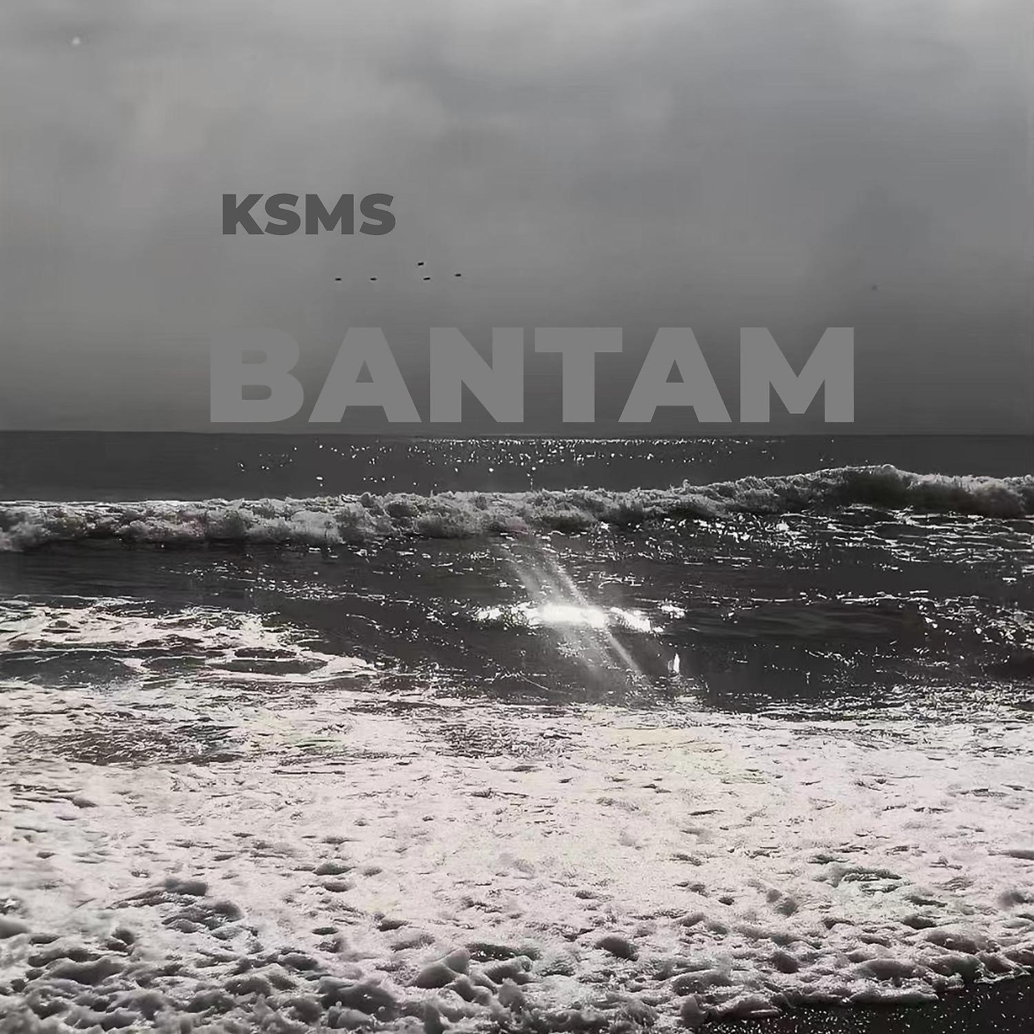 Постер альбома BANTAM