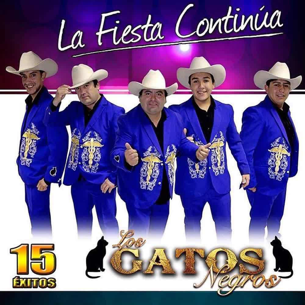 Постер альбома La Fiesta Continúa - 15  Éxitos