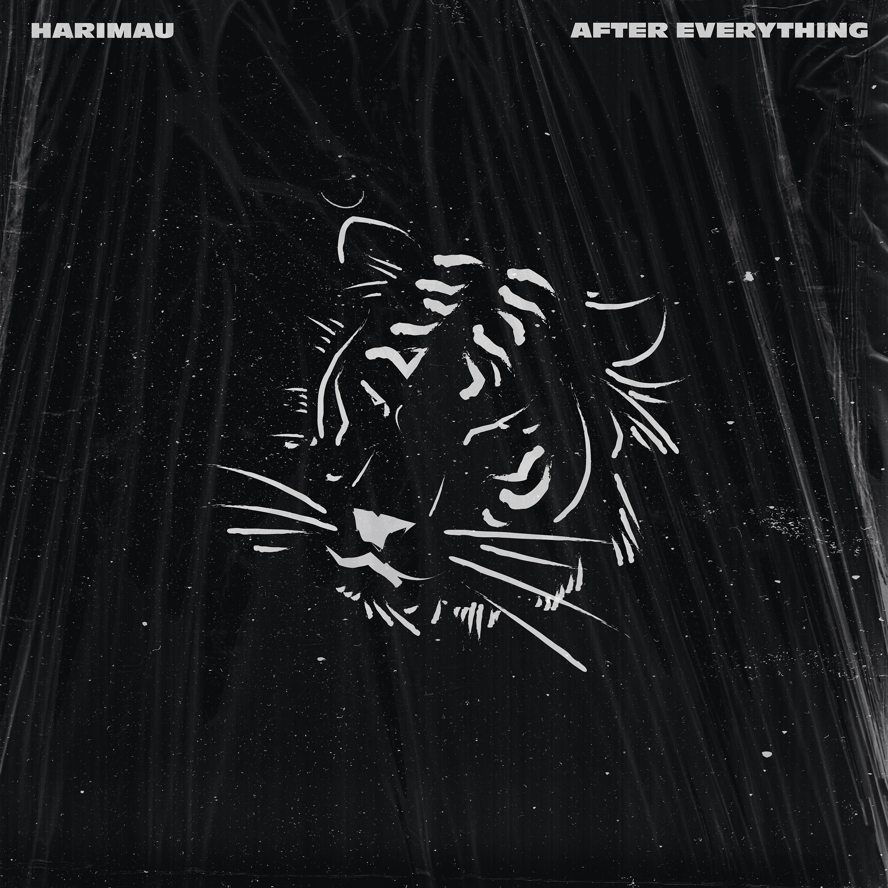 Постер альбома After Everything EP