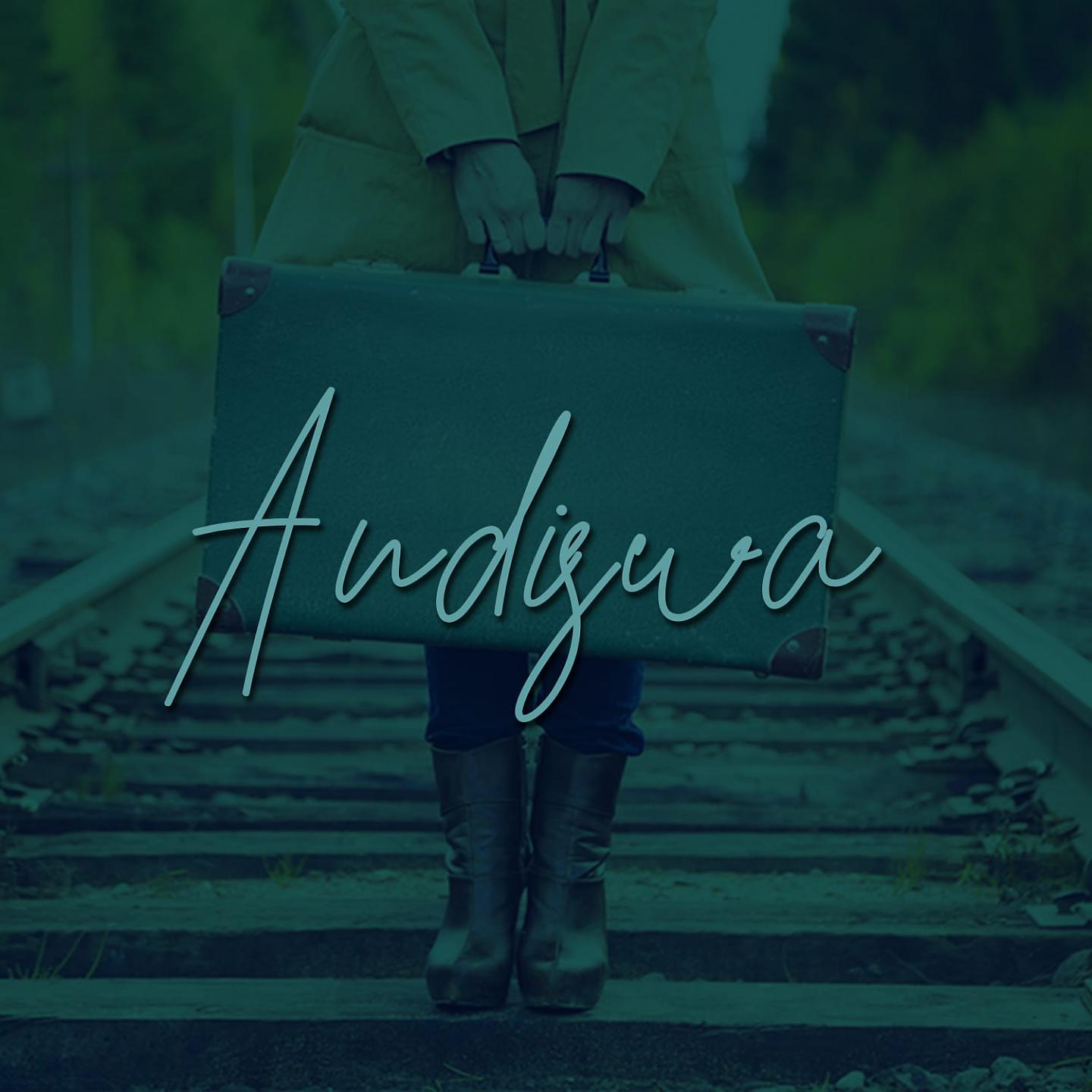 Постер альбома Andiswa