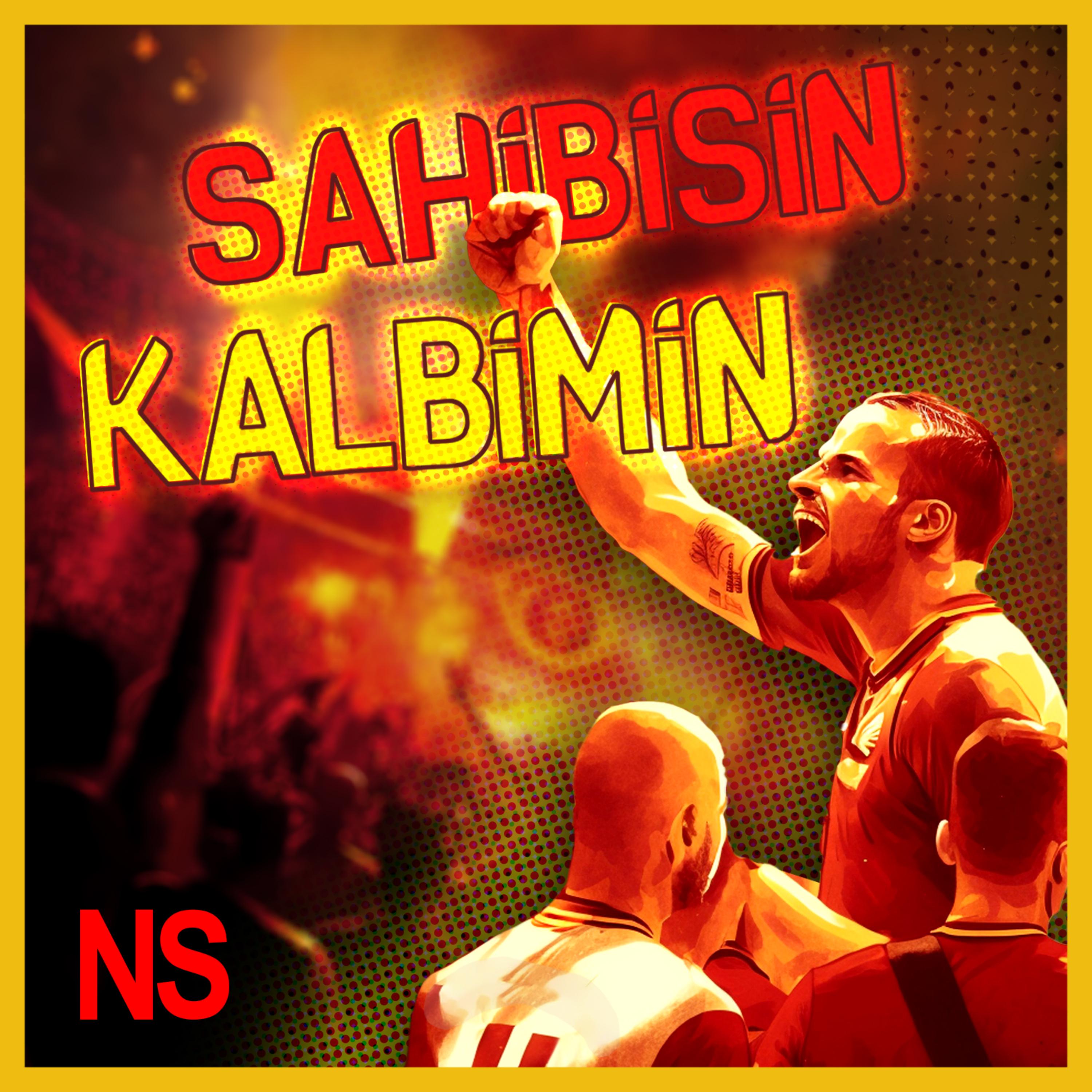 Постер альбома Sahibisin Kalbimin