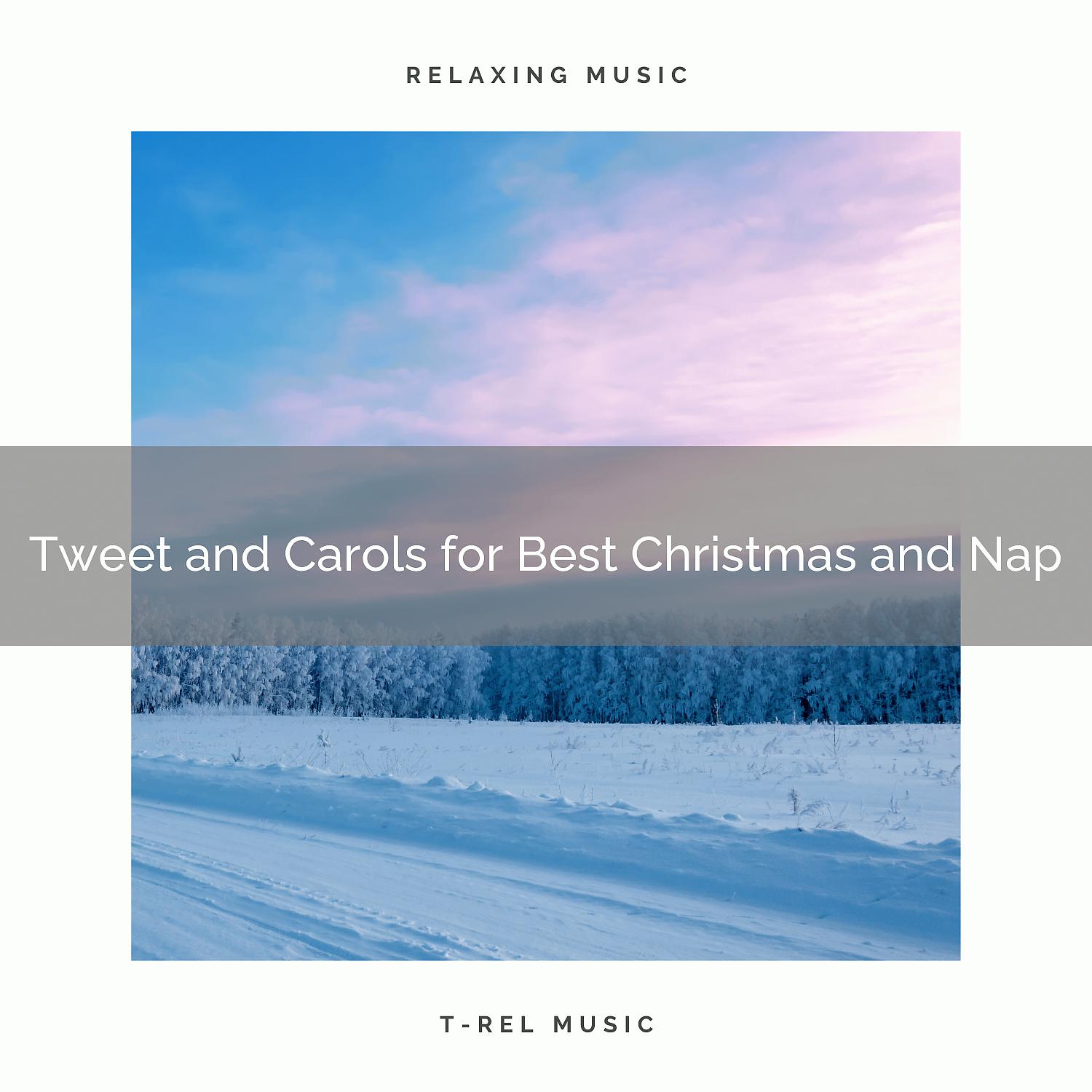 Постер альбома Tweet and Carols for Best Christmas and Nap