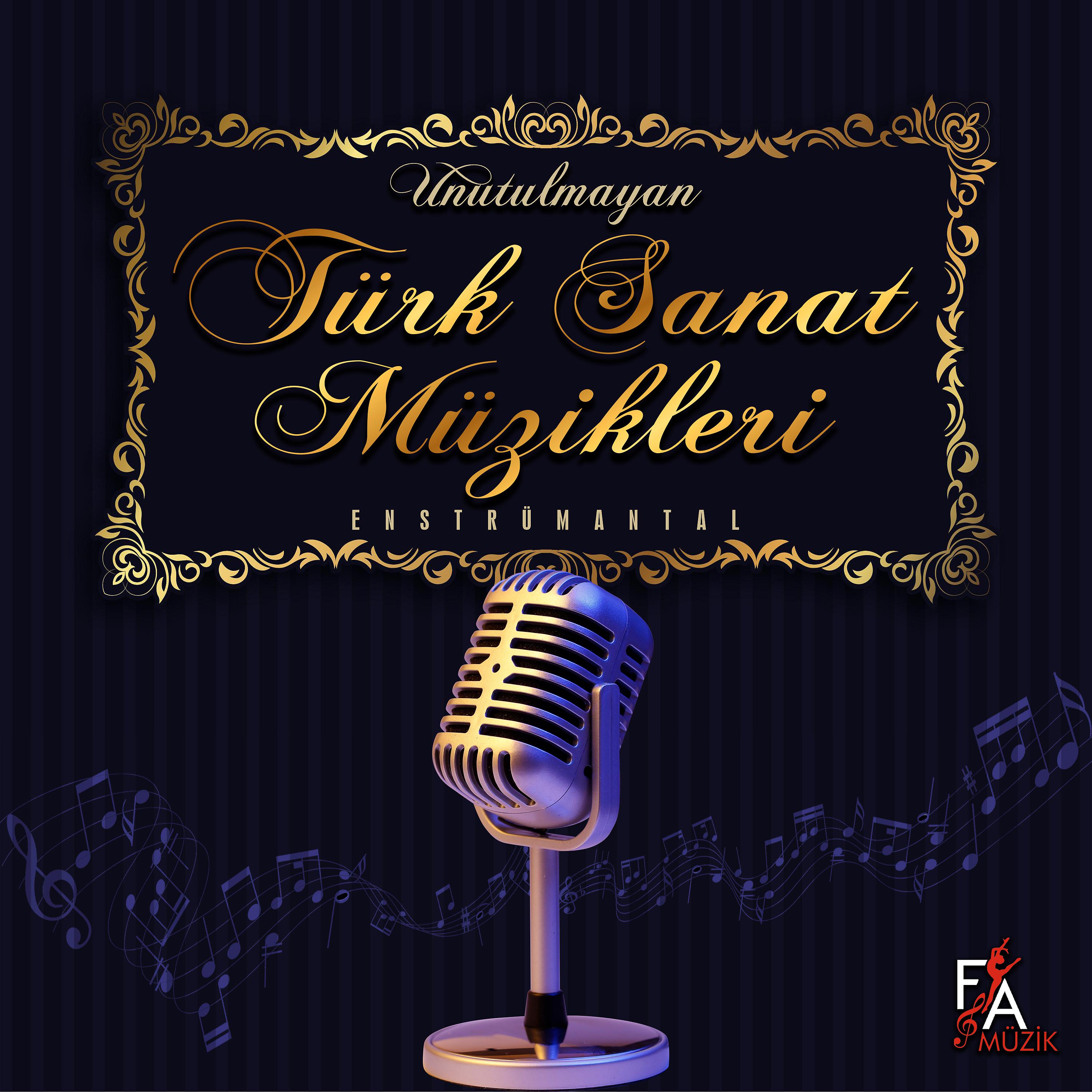 Постер альбома Unutulmayan Türk Sanat Müzikleri (Enstrümantal)