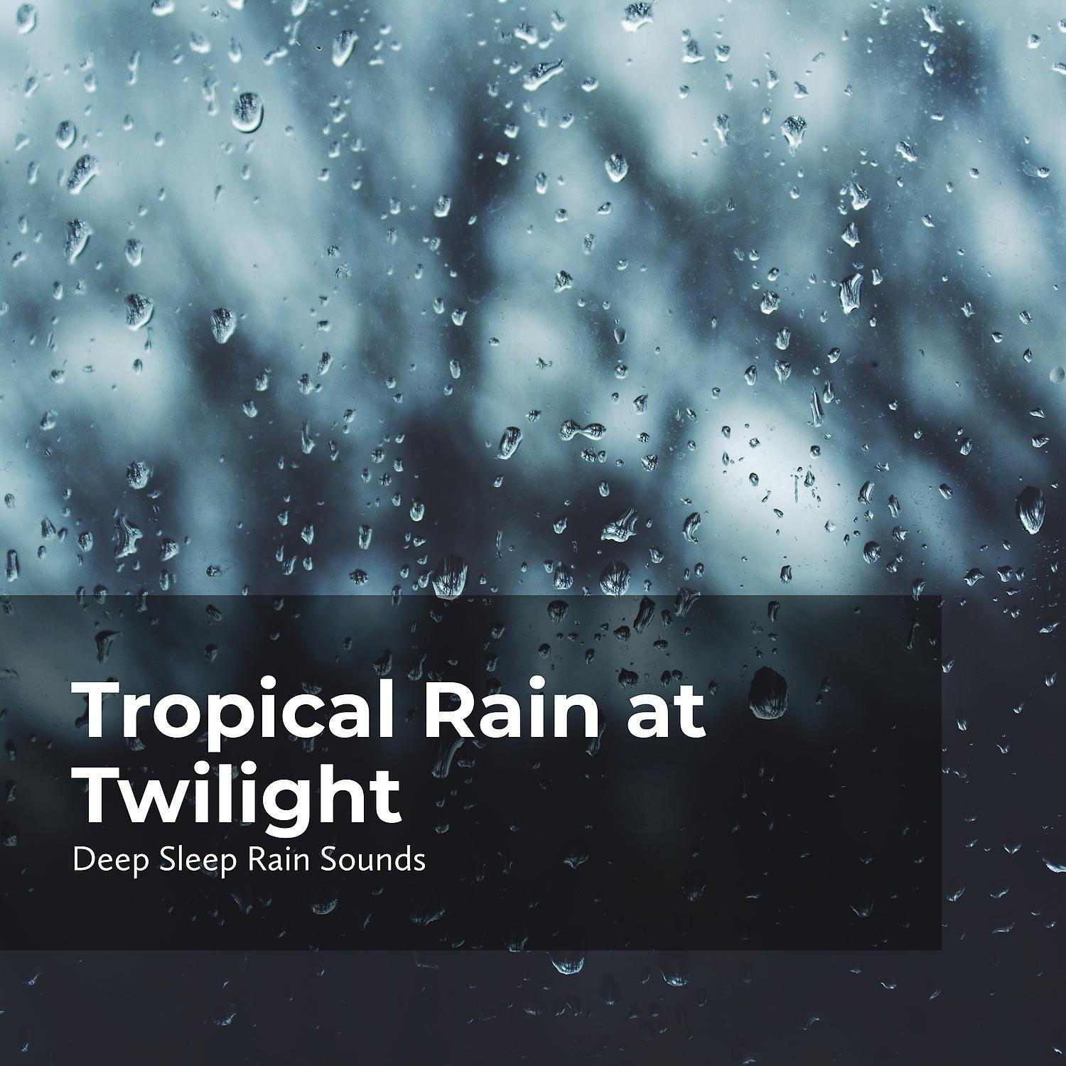 Постер альбома Tropical Rain at Twilight