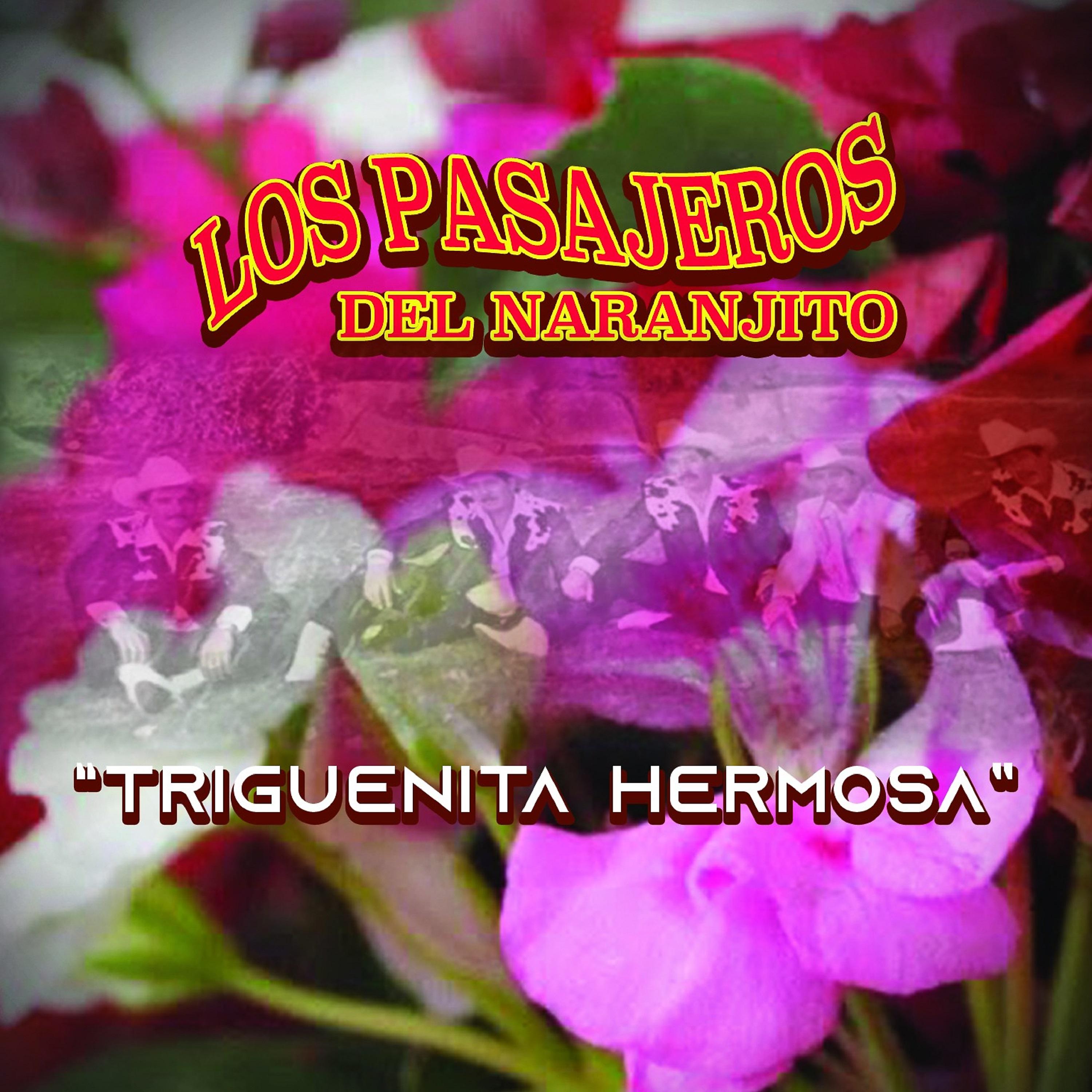 Постер альбома Triguenita Hermosa (En Vivo)