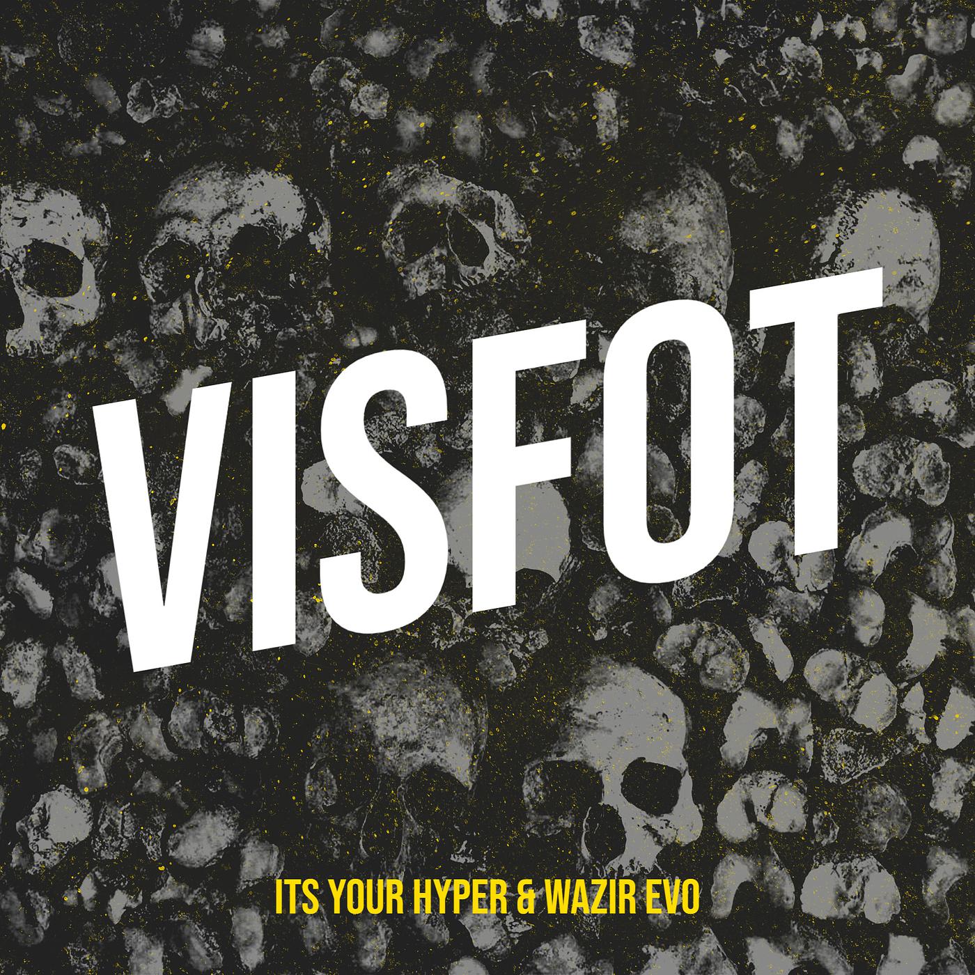 Постер альбома Visfot