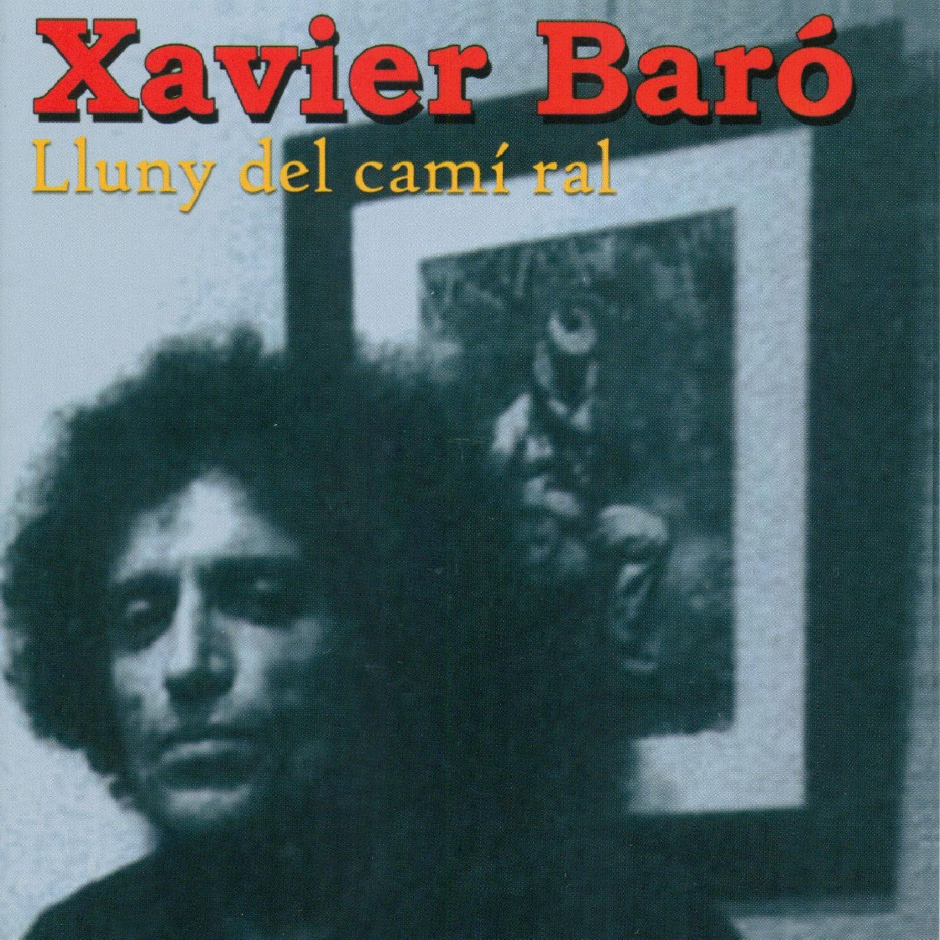 Постер альбома Lluny del Camí Ral