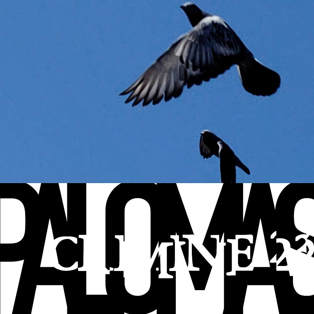 Постер альбома Palomas