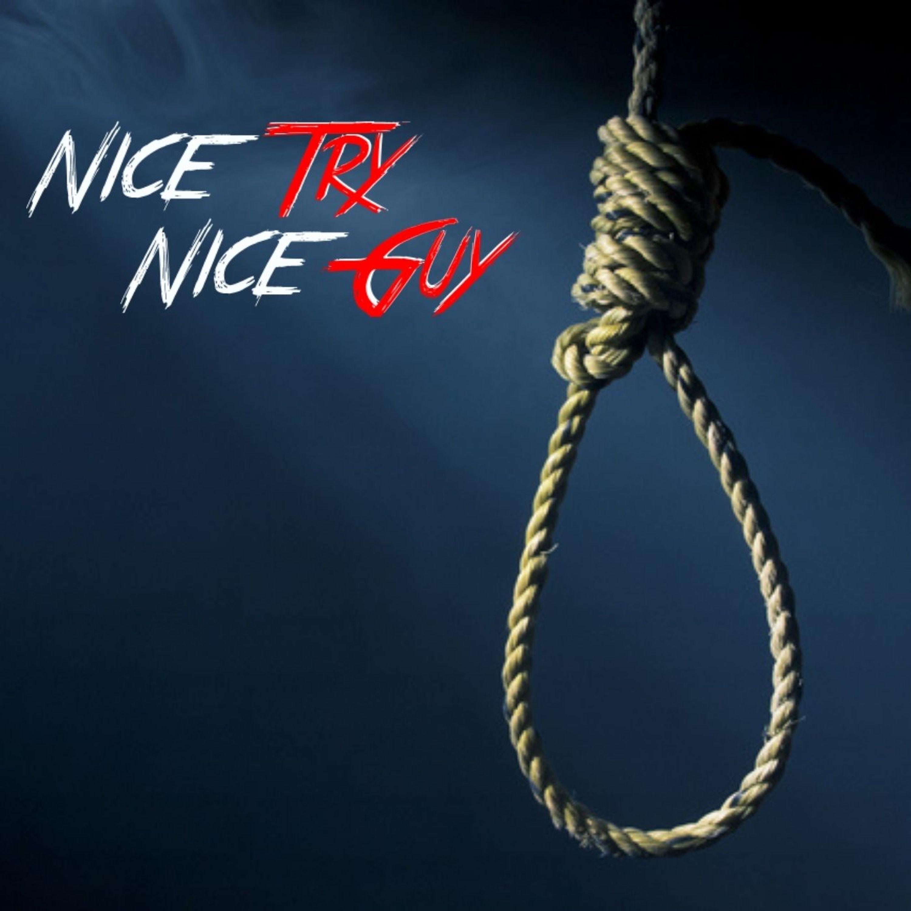 Постер альбома Nice Try Nice Guy