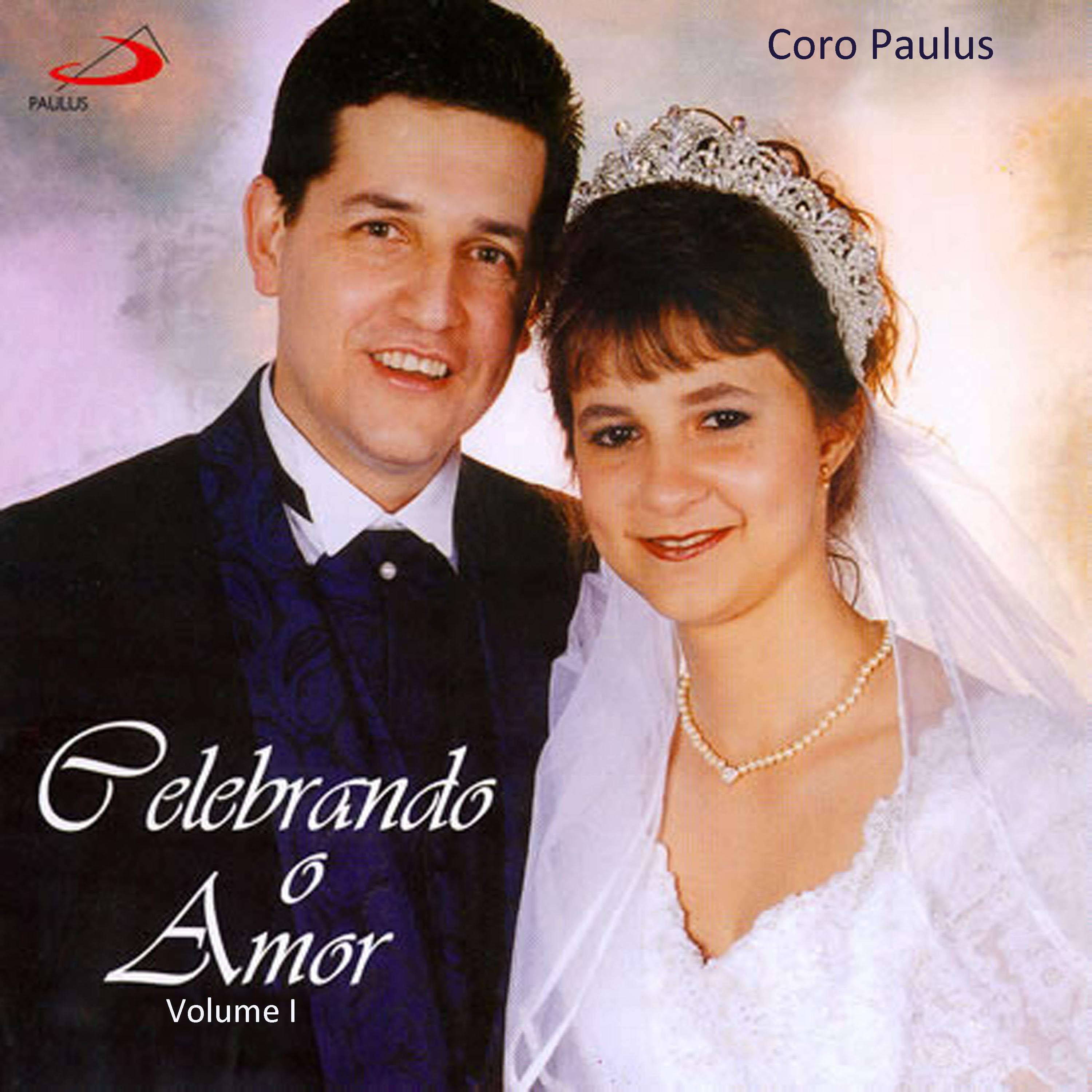 Постер альбома Celebrando o Amor, Vol. 1