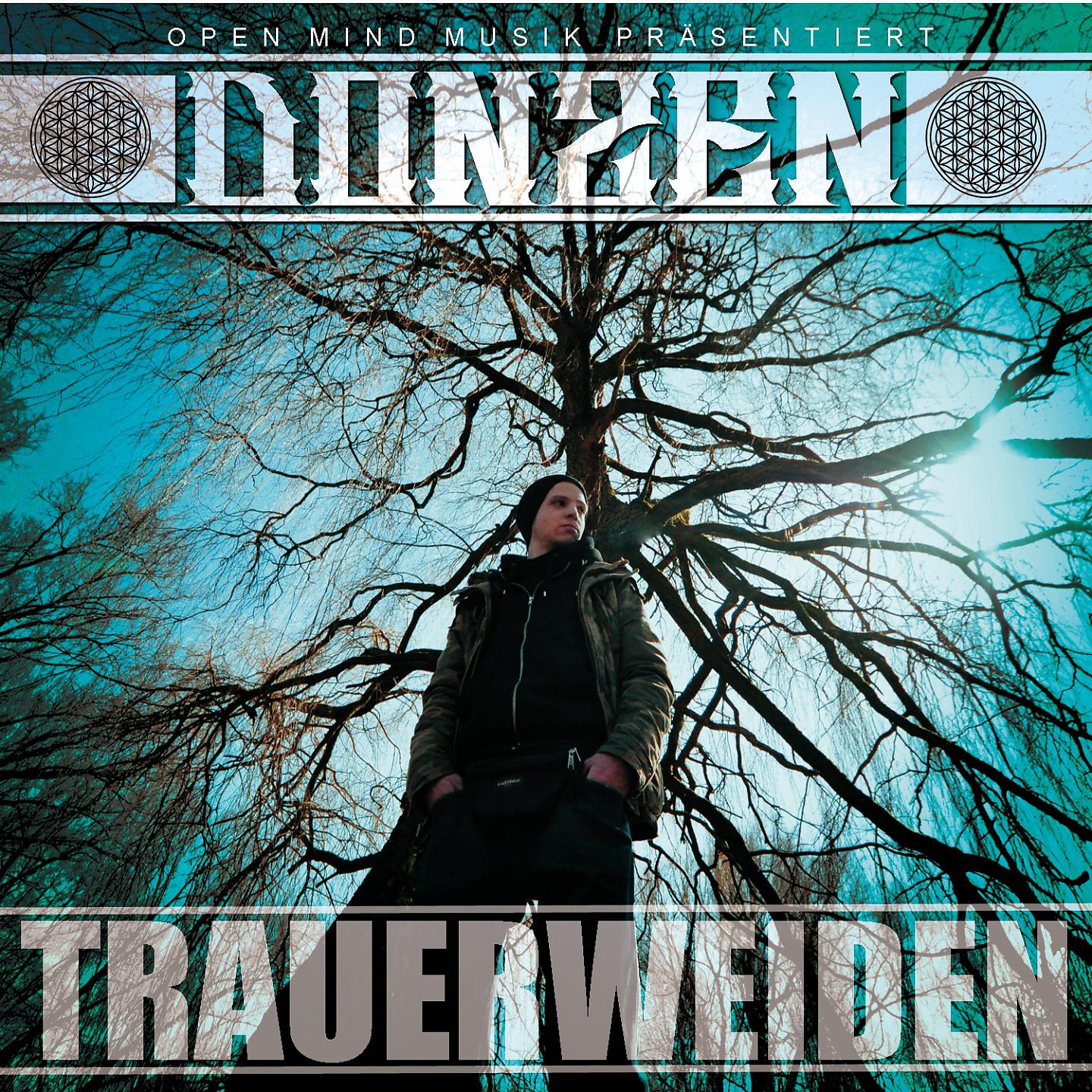 Постер альбома Trauerweiden