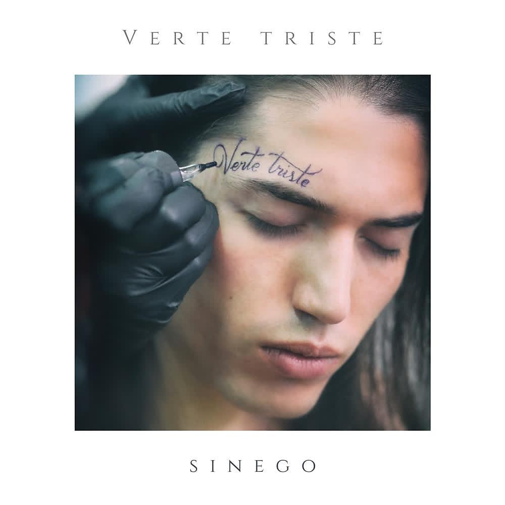 Постер альбома Verte Triste