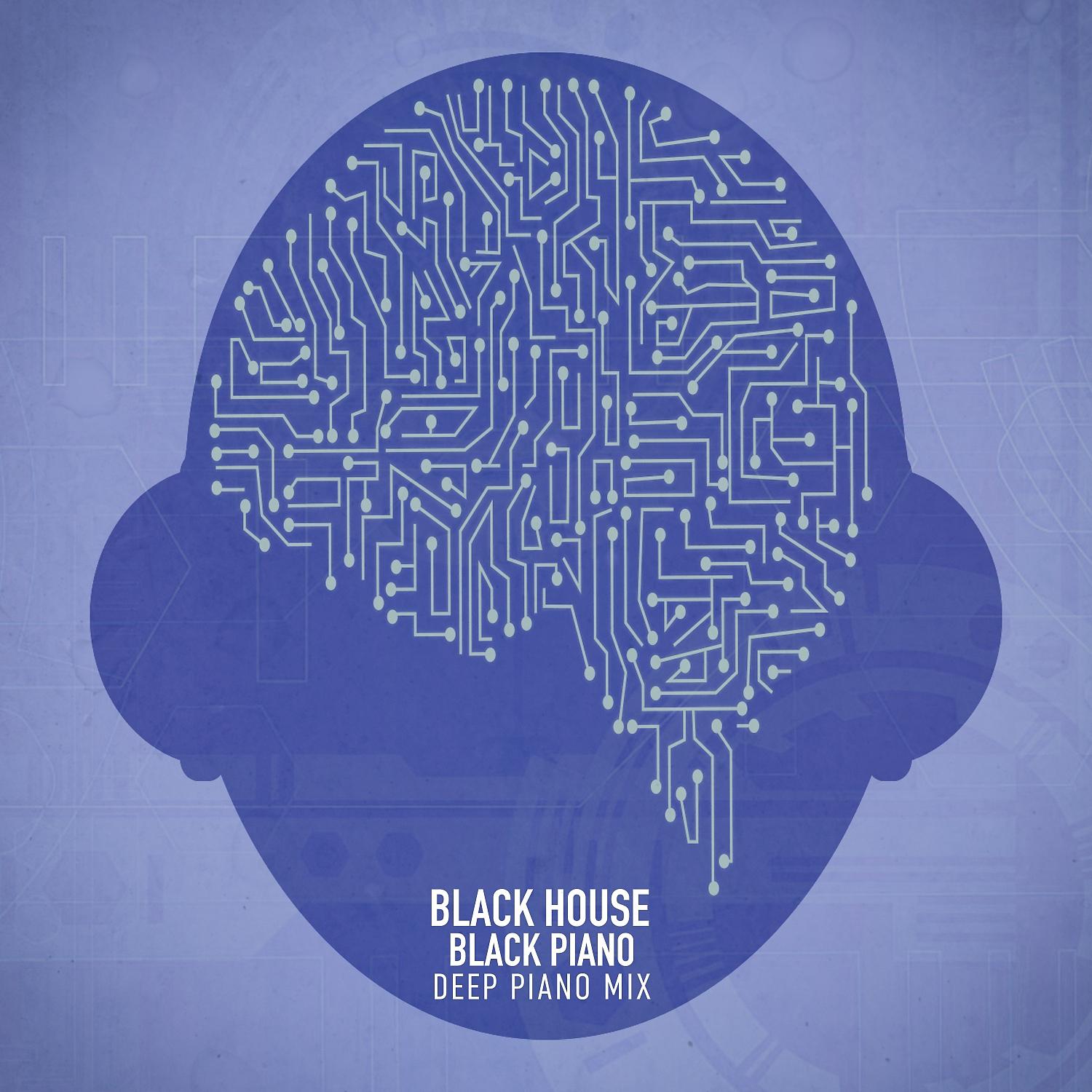 Постер альбома Black Piano