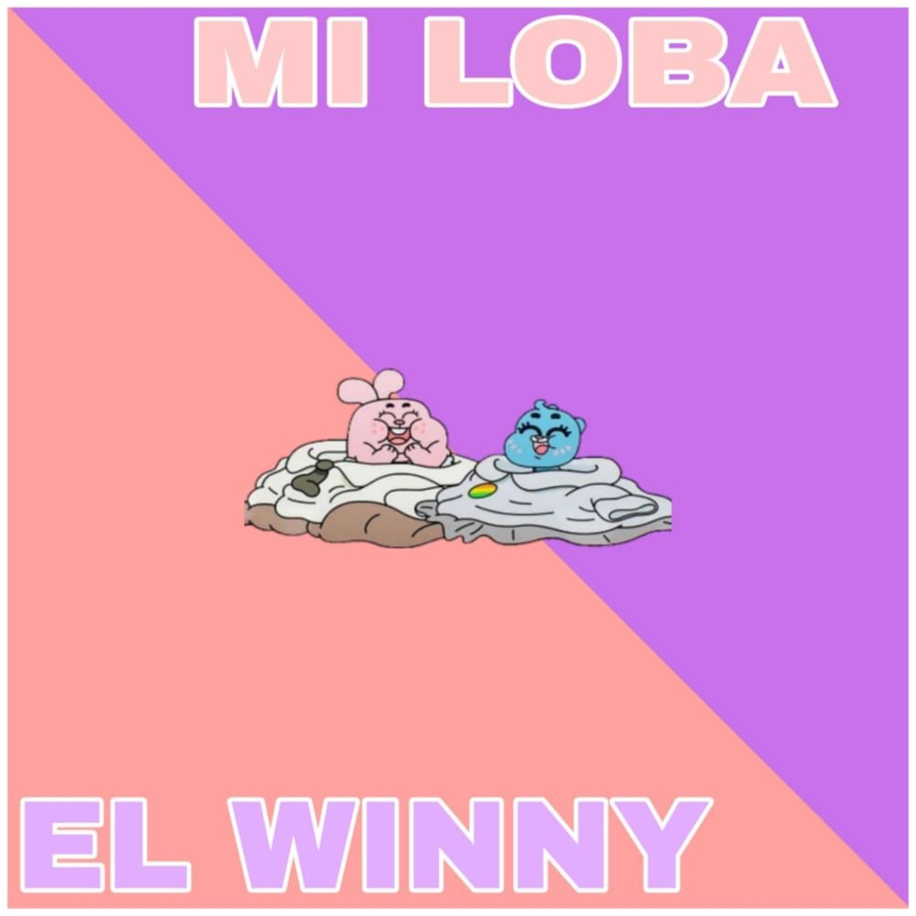 Постер альбома Mi Loba