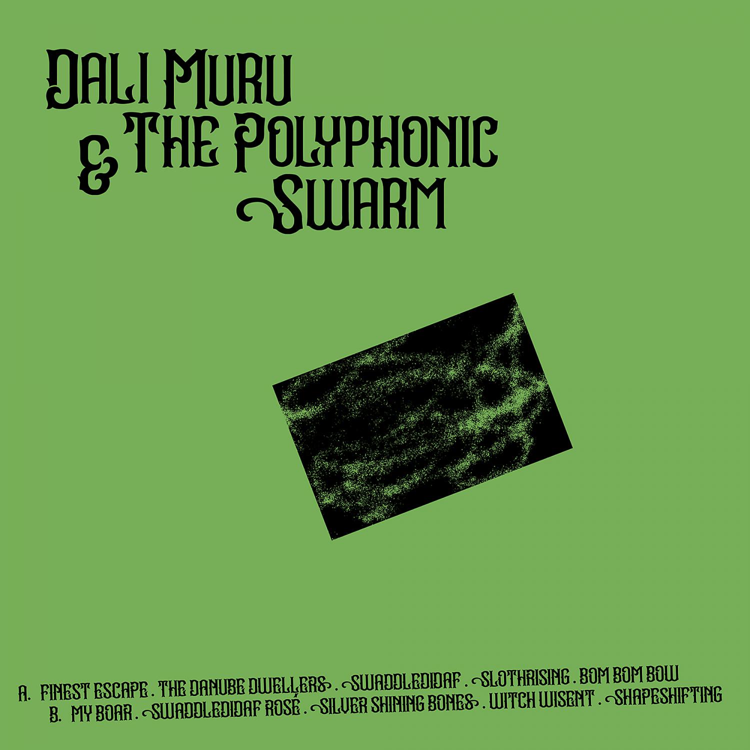 Постер альбома Dali Muru & The Polyphonic Swarm