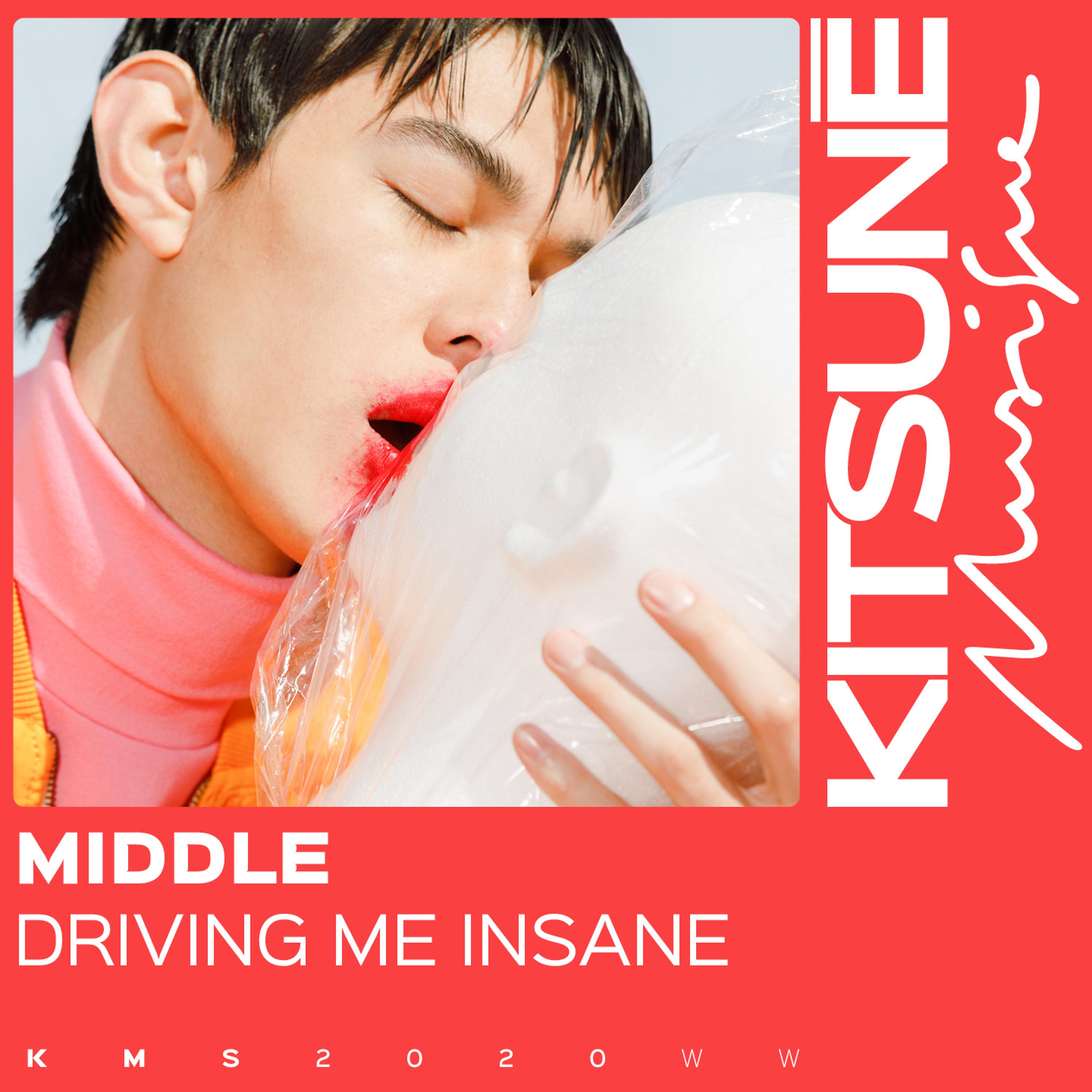 Постер альбома Driving Me Insane