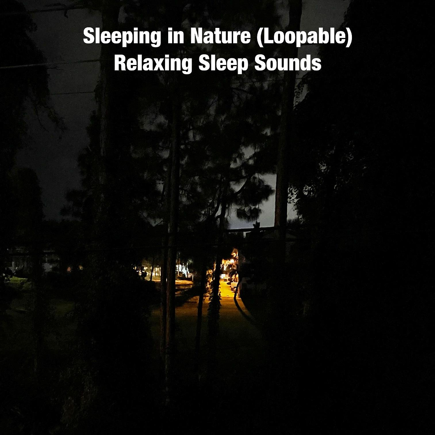 Постер альбома Sleeping in Nature