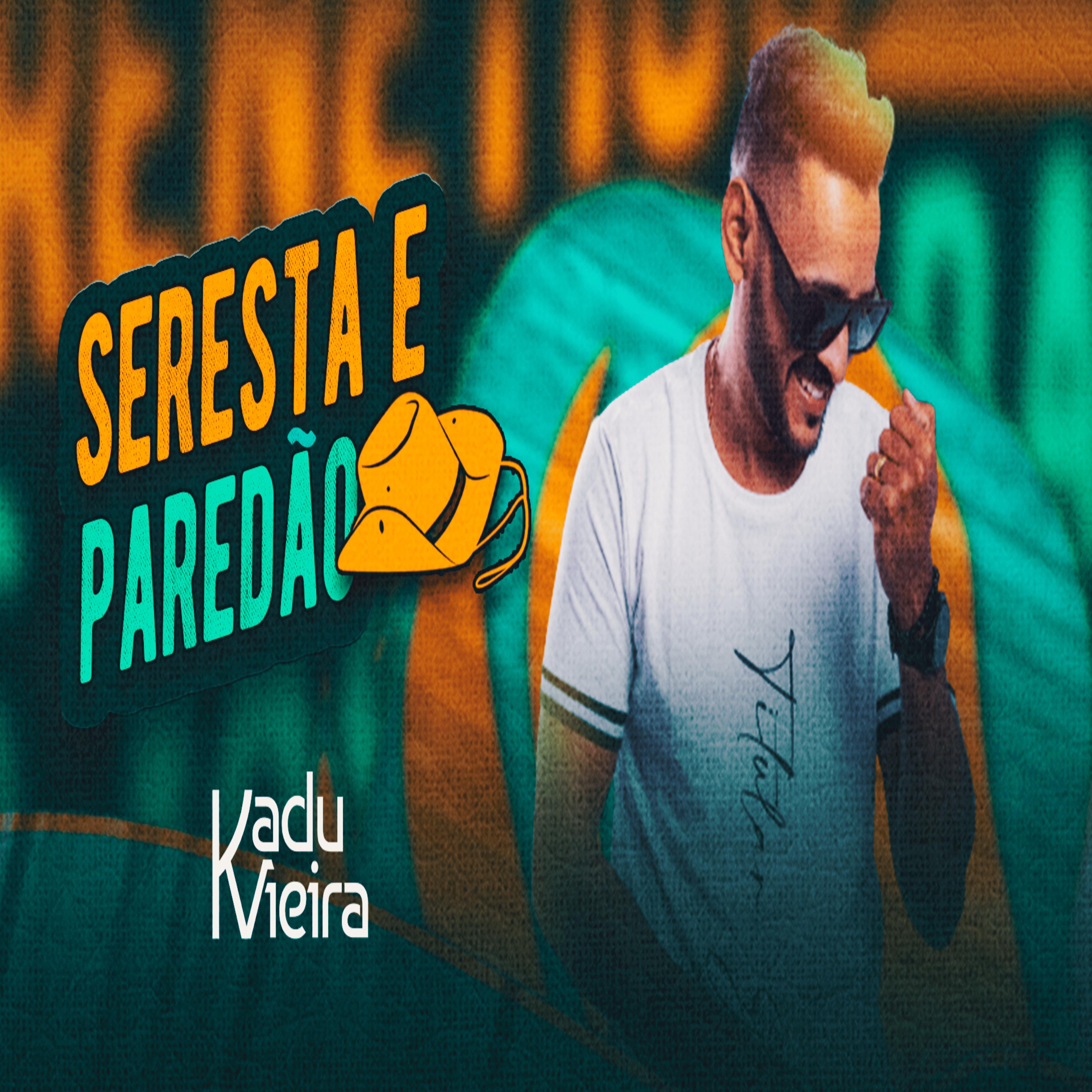Постер альбома Seresta e Paredão