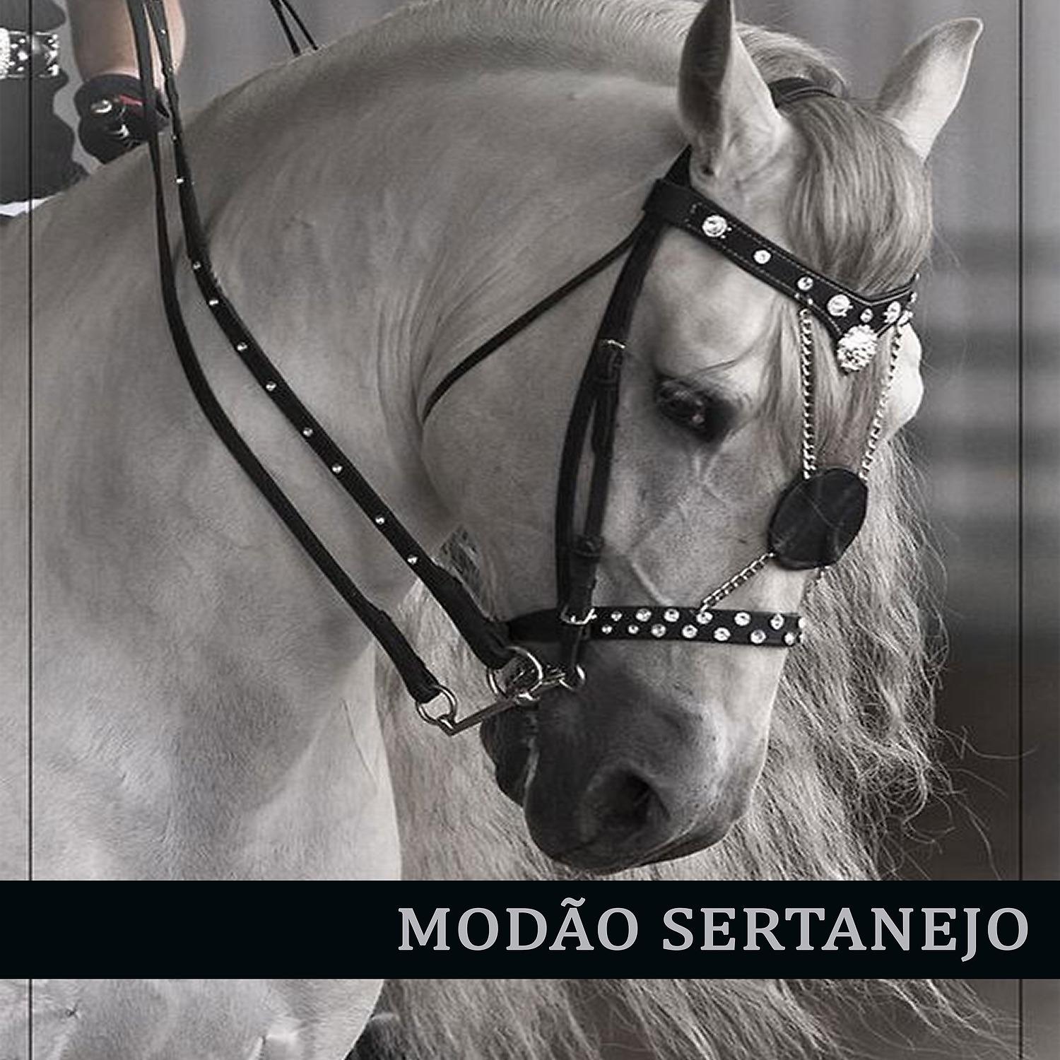 Постер альбома Modão Sertanejo