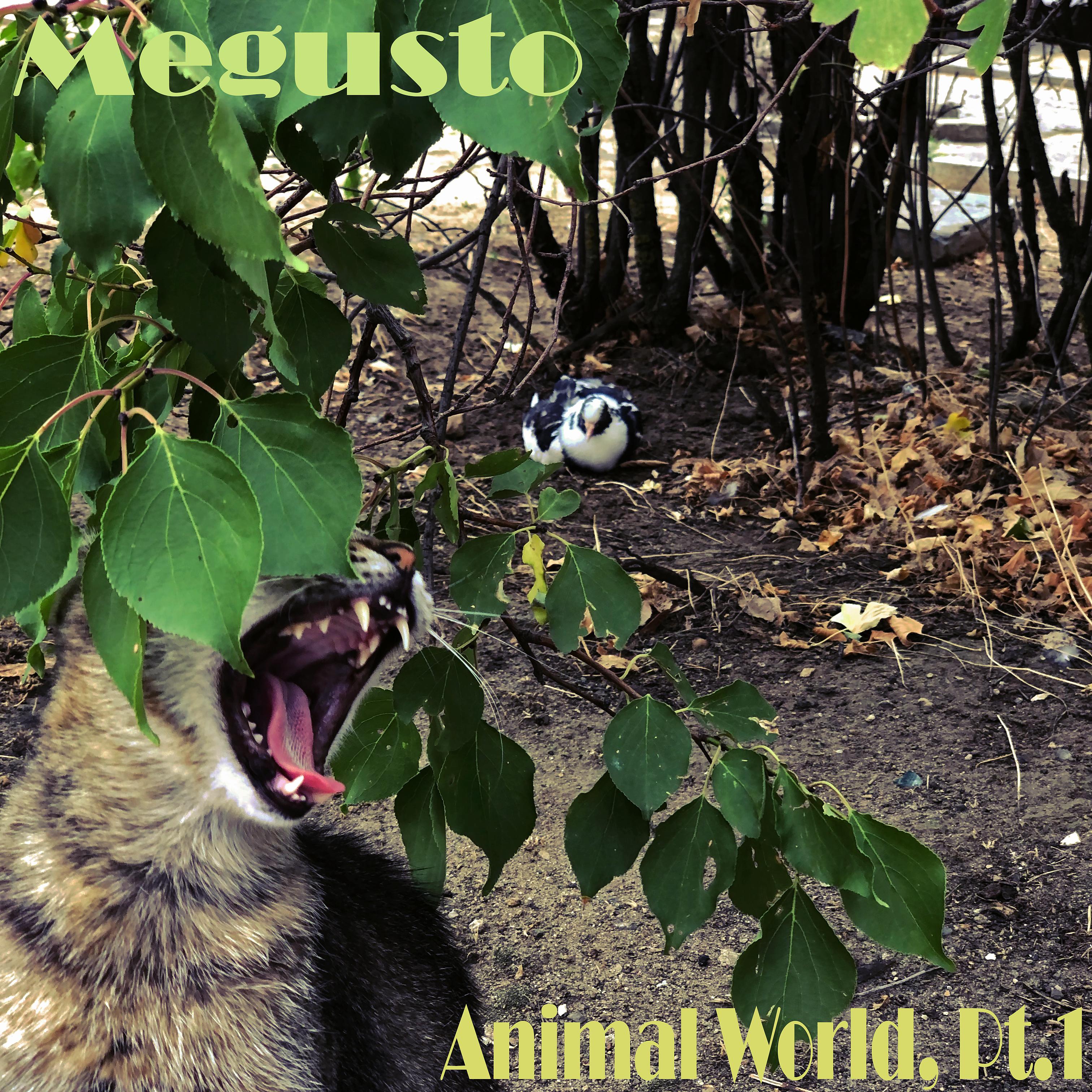 Постер альбома Animal World, Pt. 1