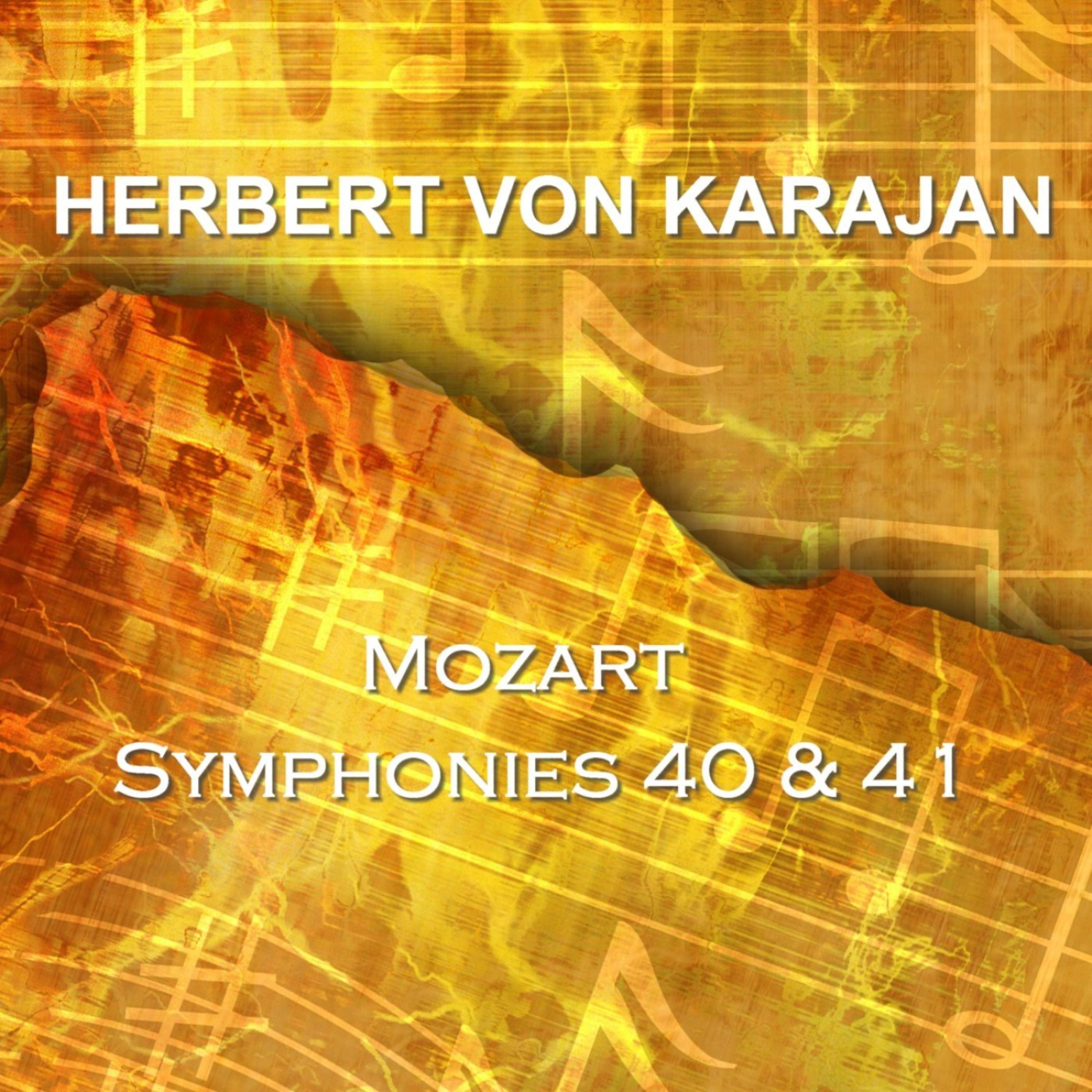 Постер альбома Mozart Symphony's 40 & 41