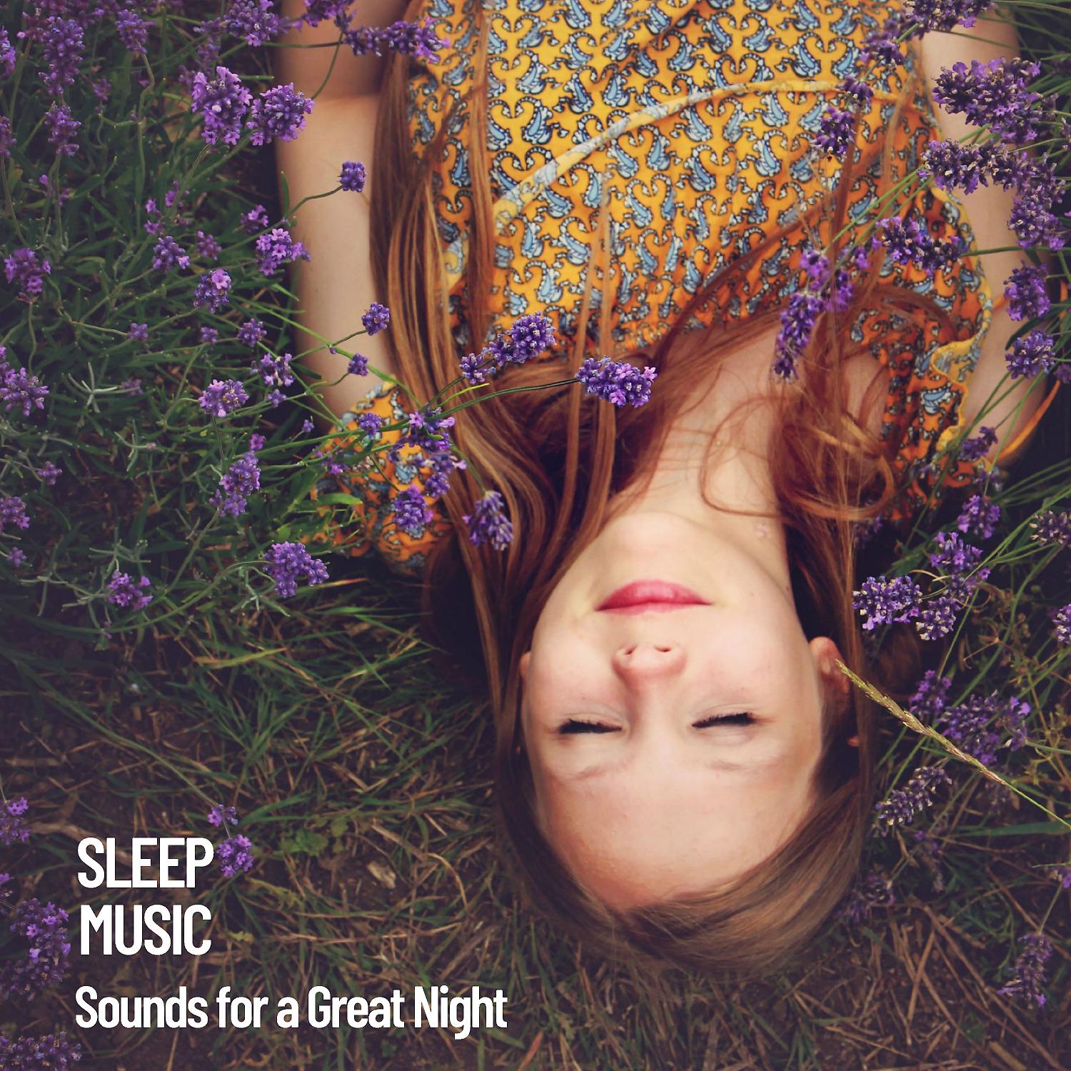 Постер альбома Sleep Music: Sounds for a Great Night