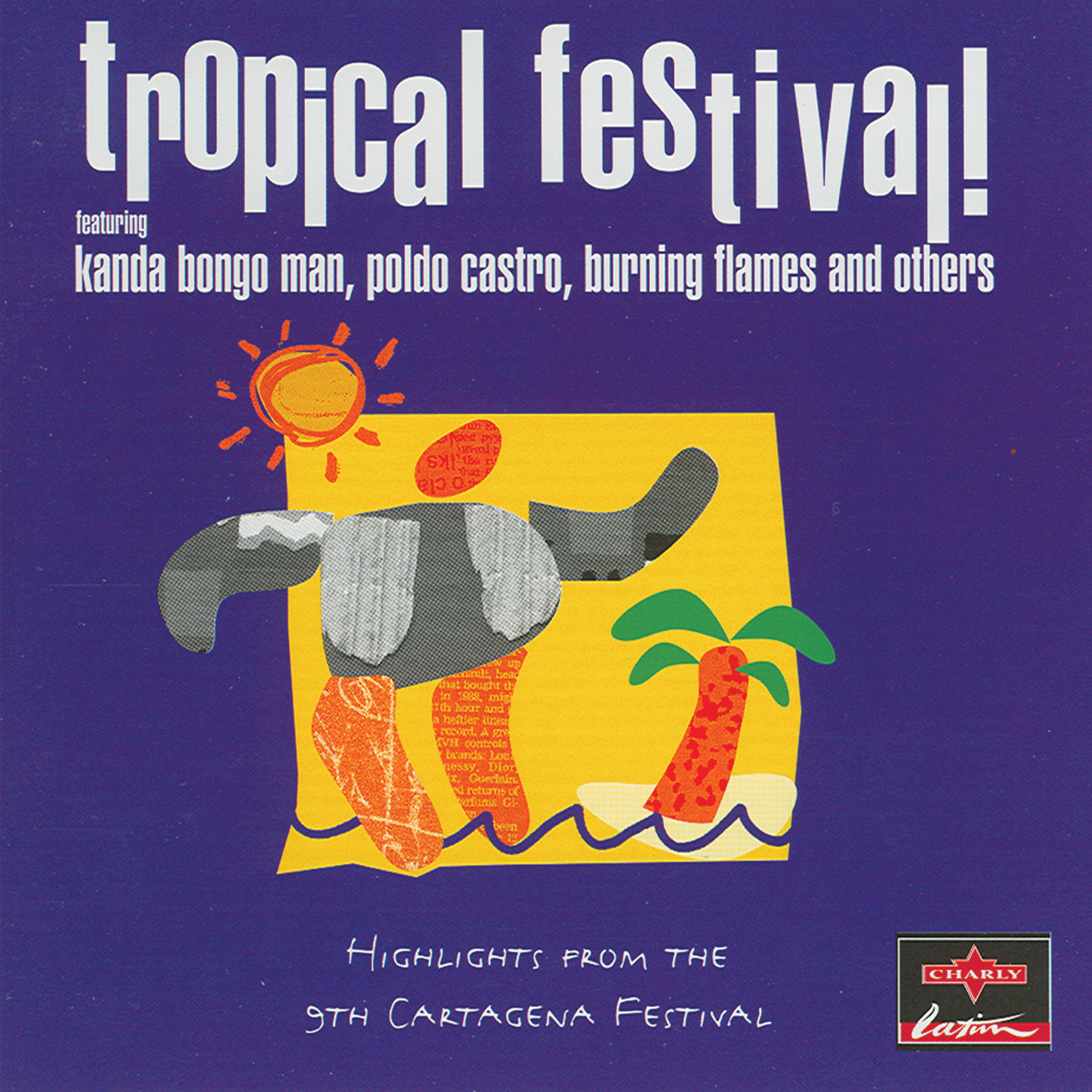 Постер альбома Tropical Festival!