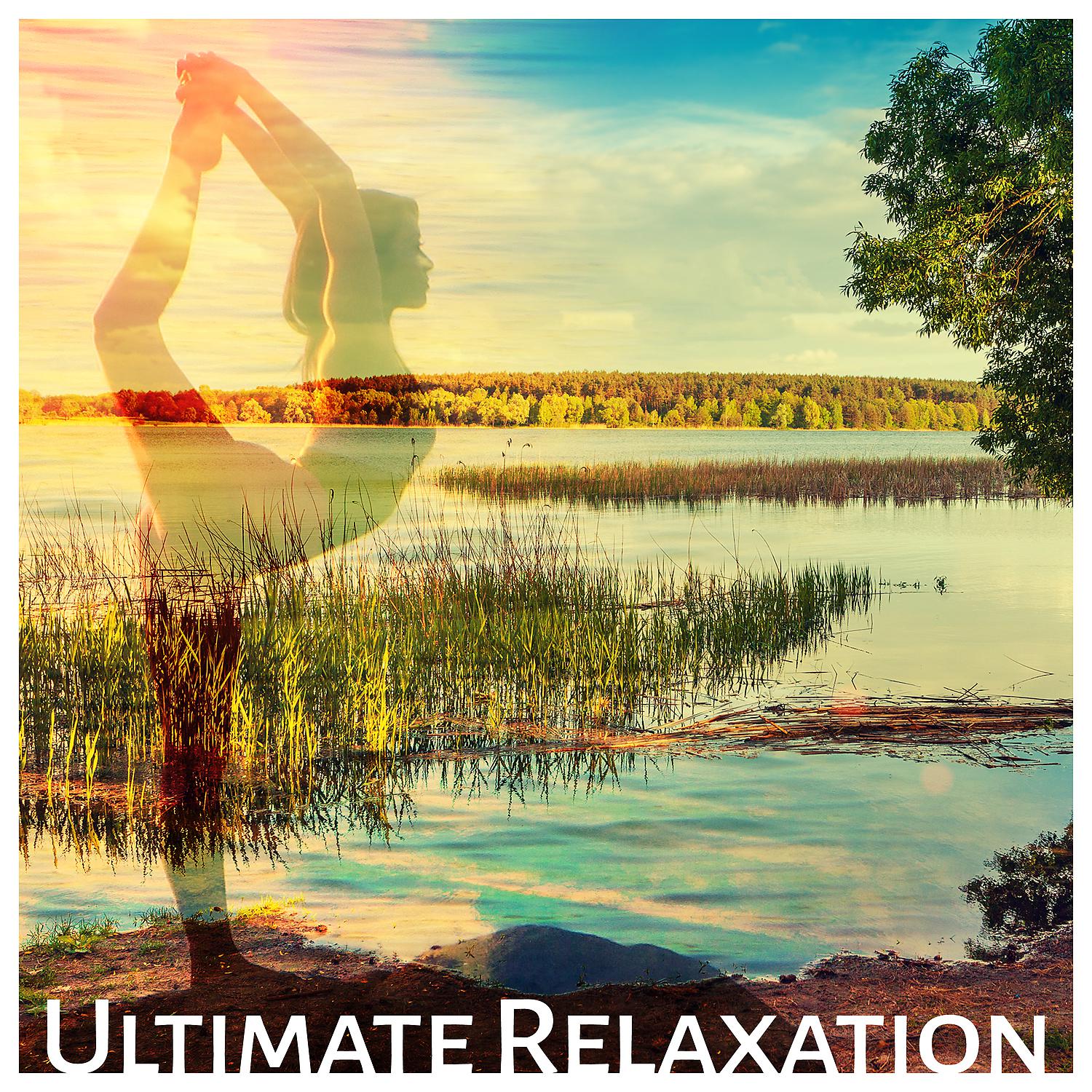Постер альбома Ultimate Relaxation – Zen Mediation, Soft Sounds and Stress Relief