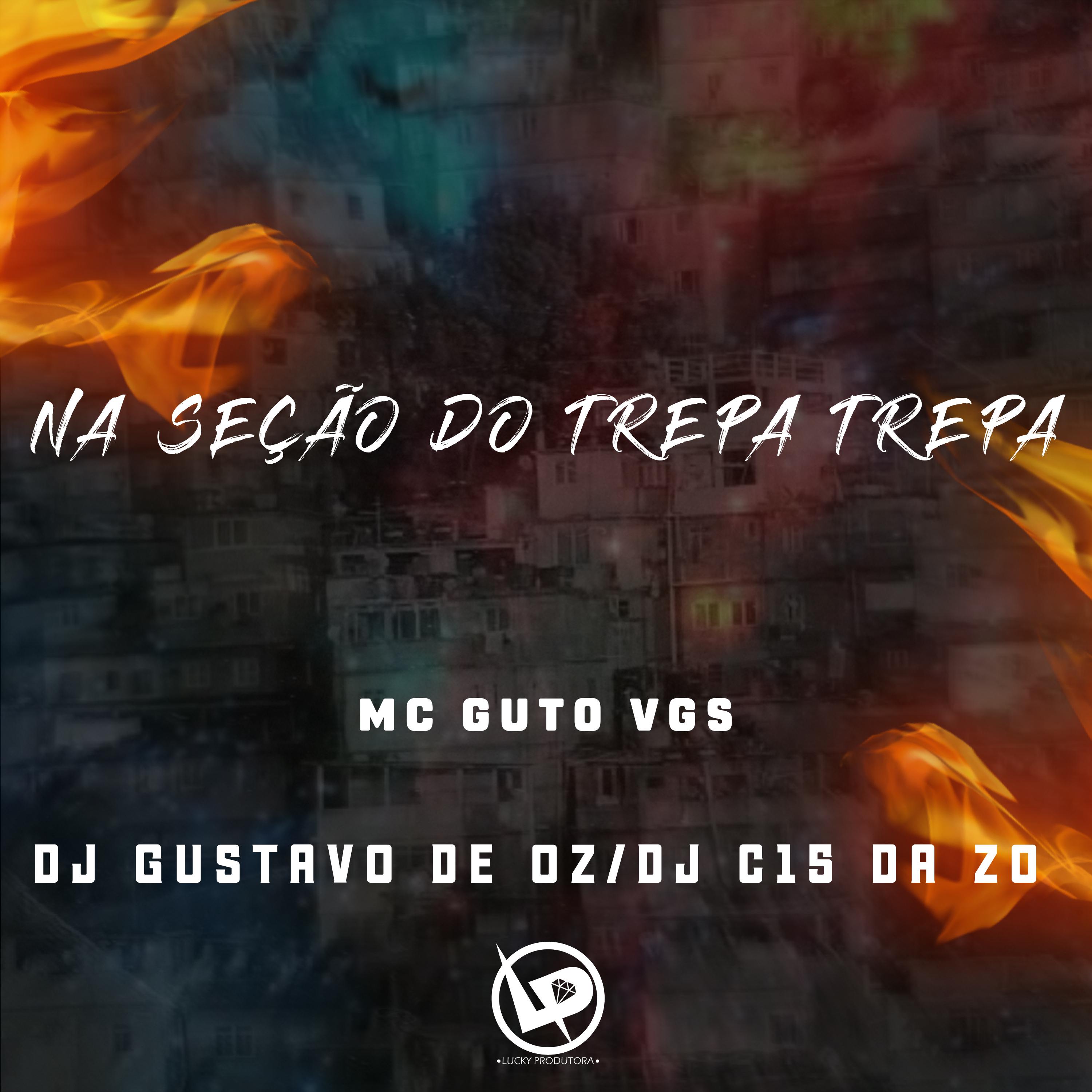 Постер альбома Na Seção do Trepa Trepa