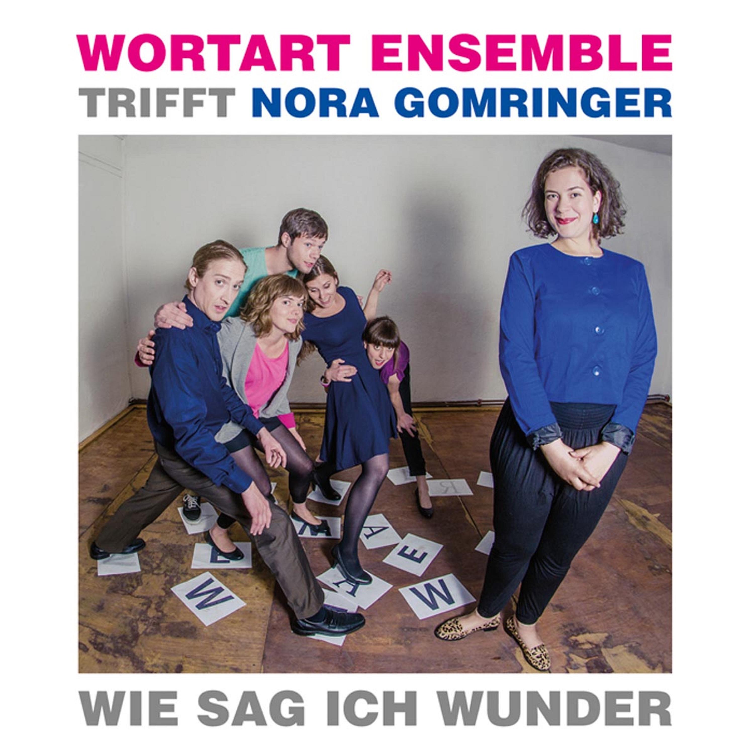 Постер альбома Wie sag ich Wunder