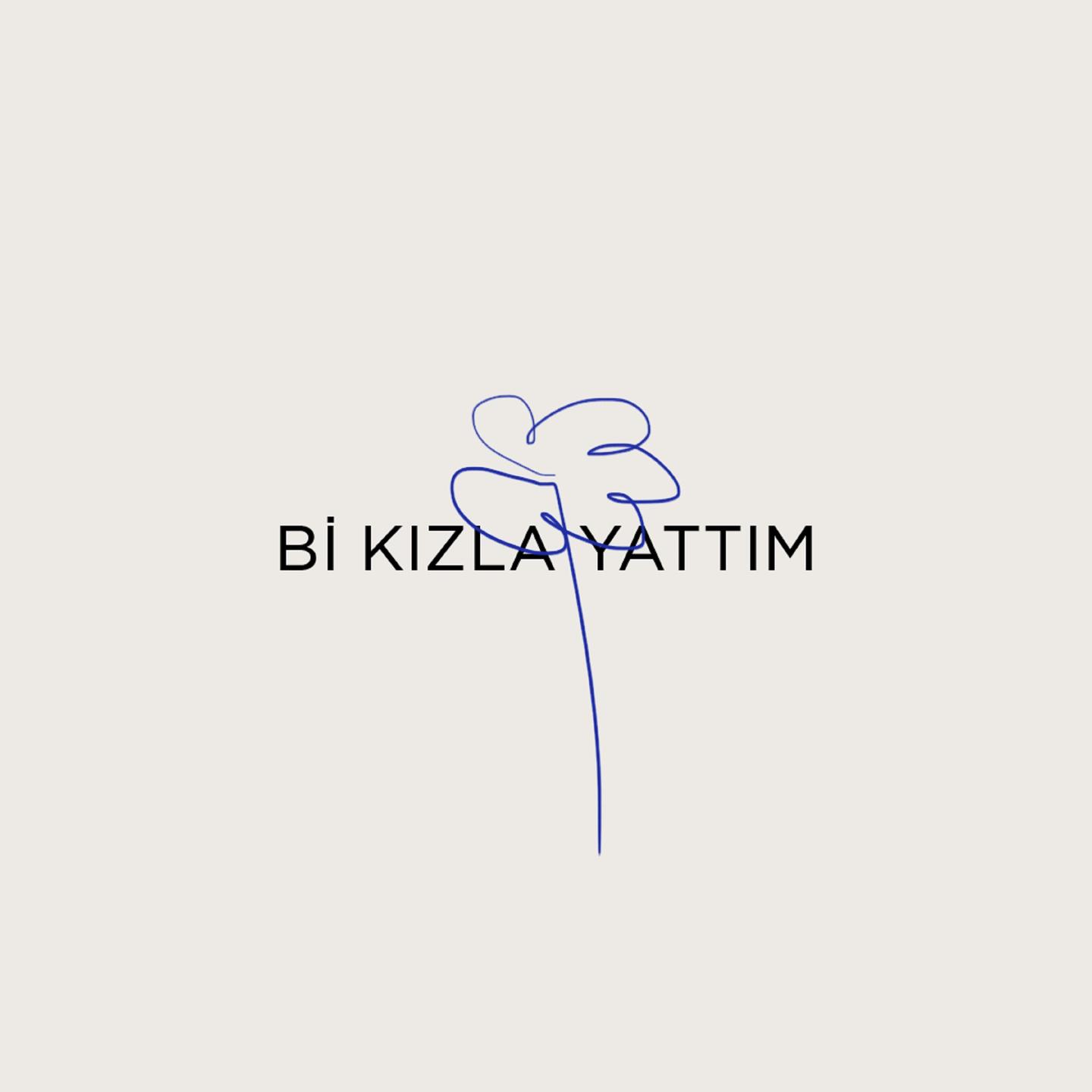 Постер альбома Bi Kızla Yattım
