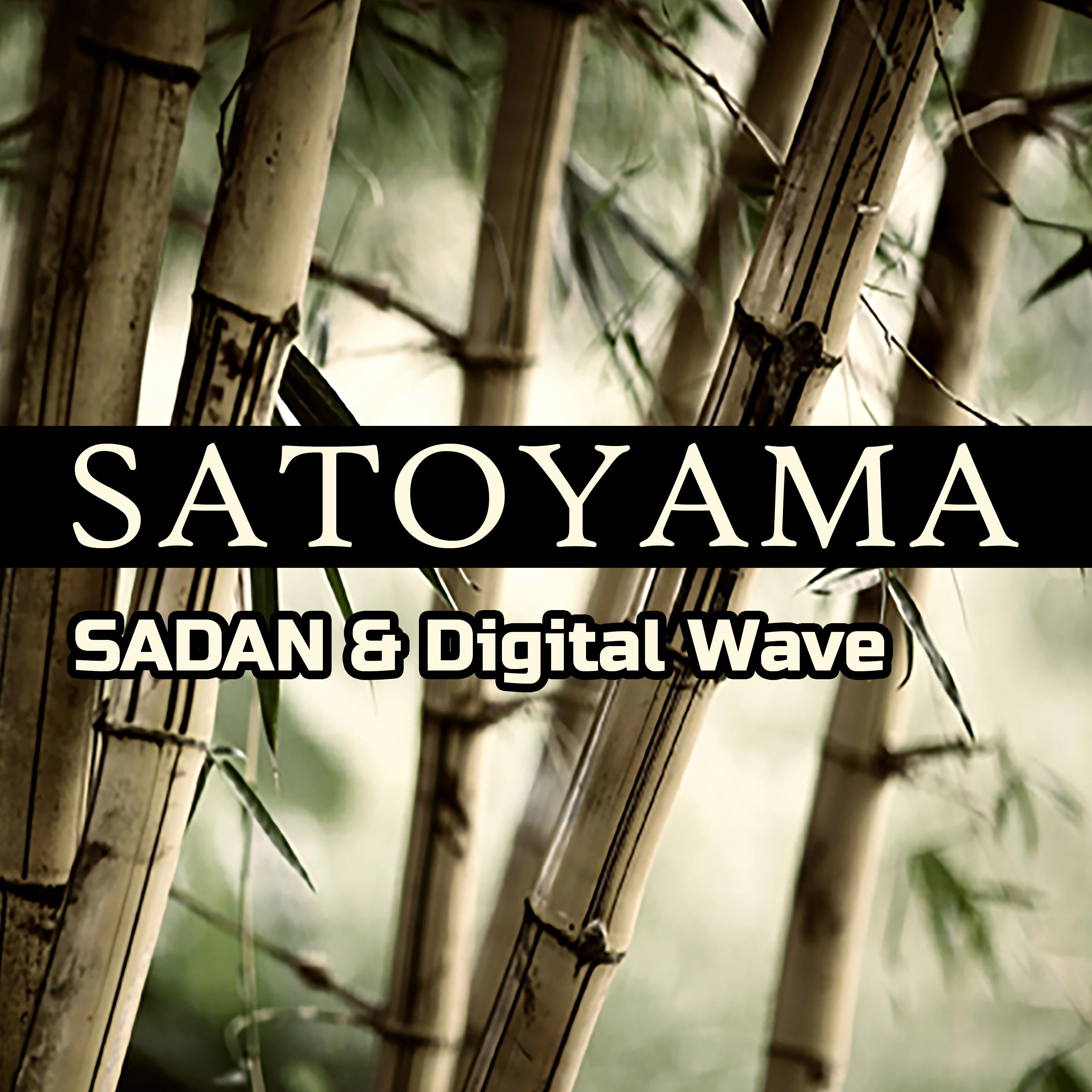 Постер альбома Satoyama