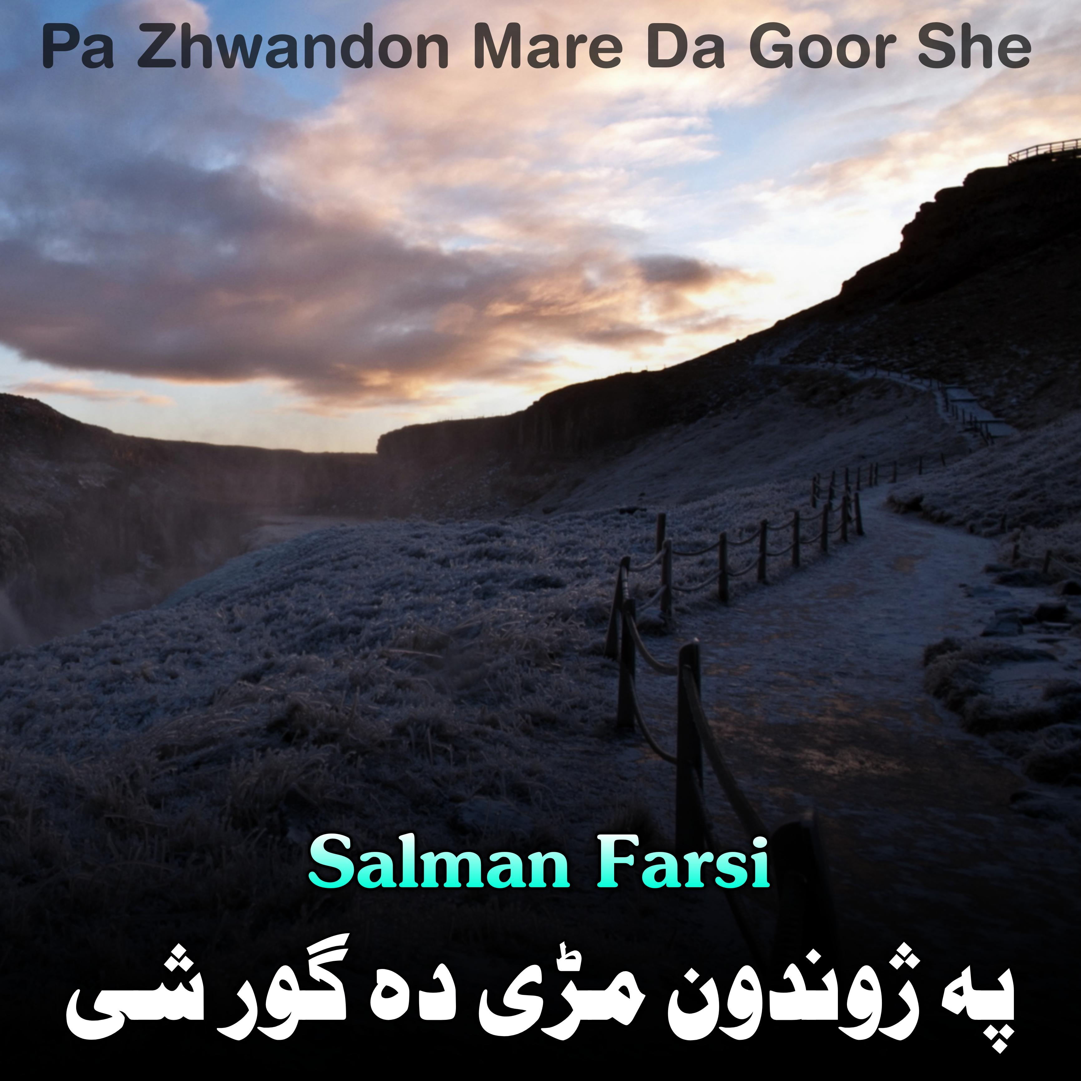 Постер альбома Pa Zhwandon Mare Da Goor She