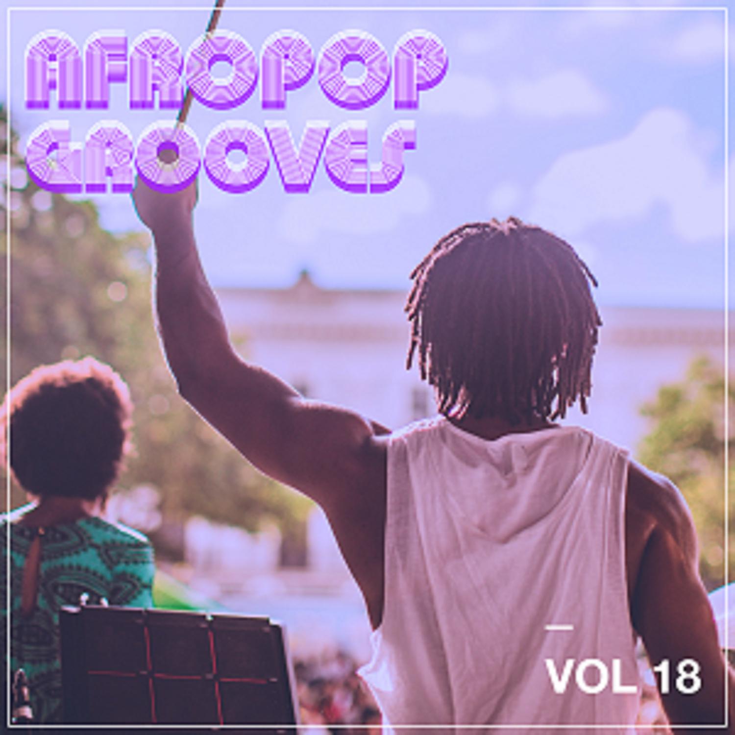 Постер альбома Afropop Grooves, Vol. 18
